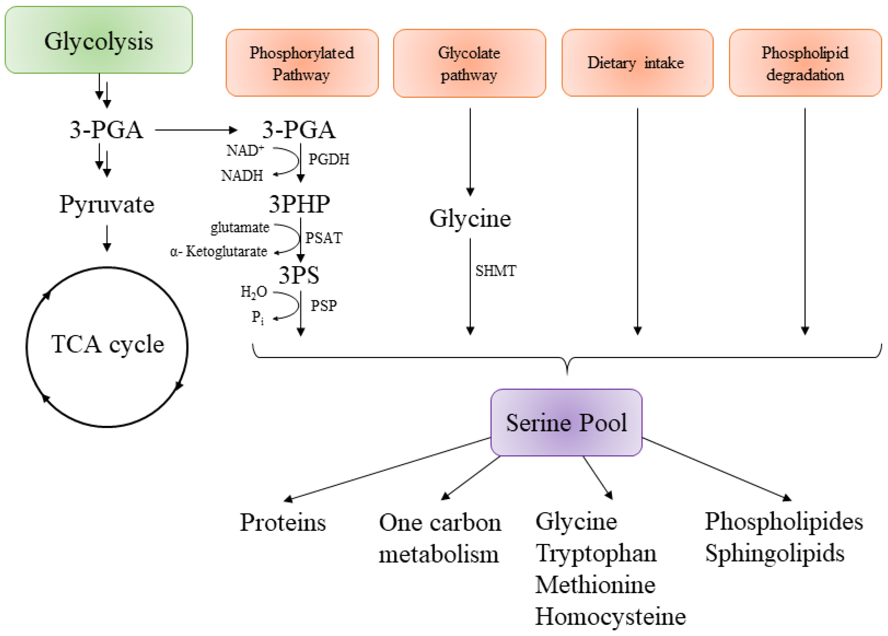 Pharmaceuticals 12 00066 g004 Pharmaceuticals 12 00066 g004