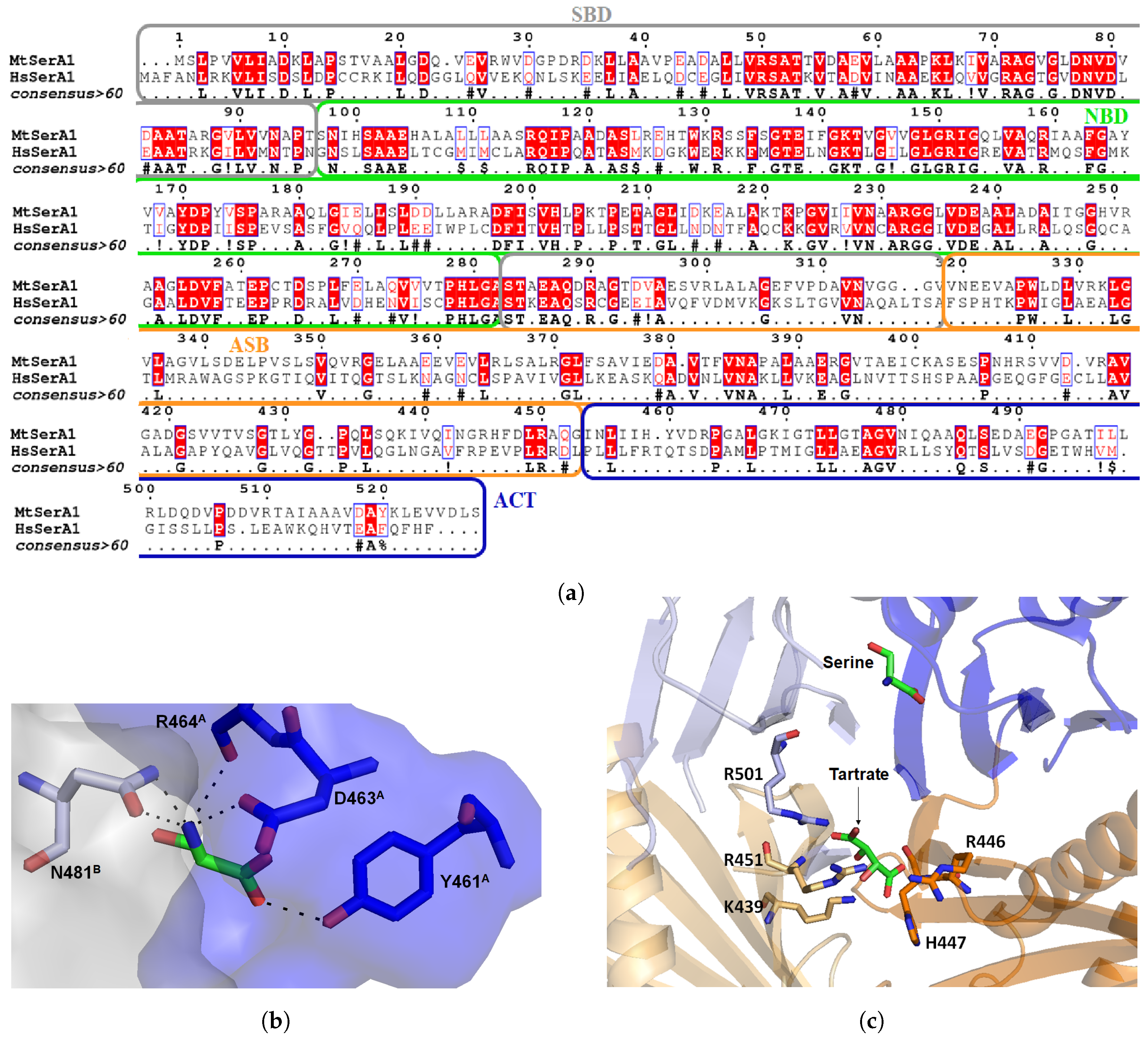 Pharmaceuticals 12 00066 g007 Pharmaceuticals 12 00066 g007