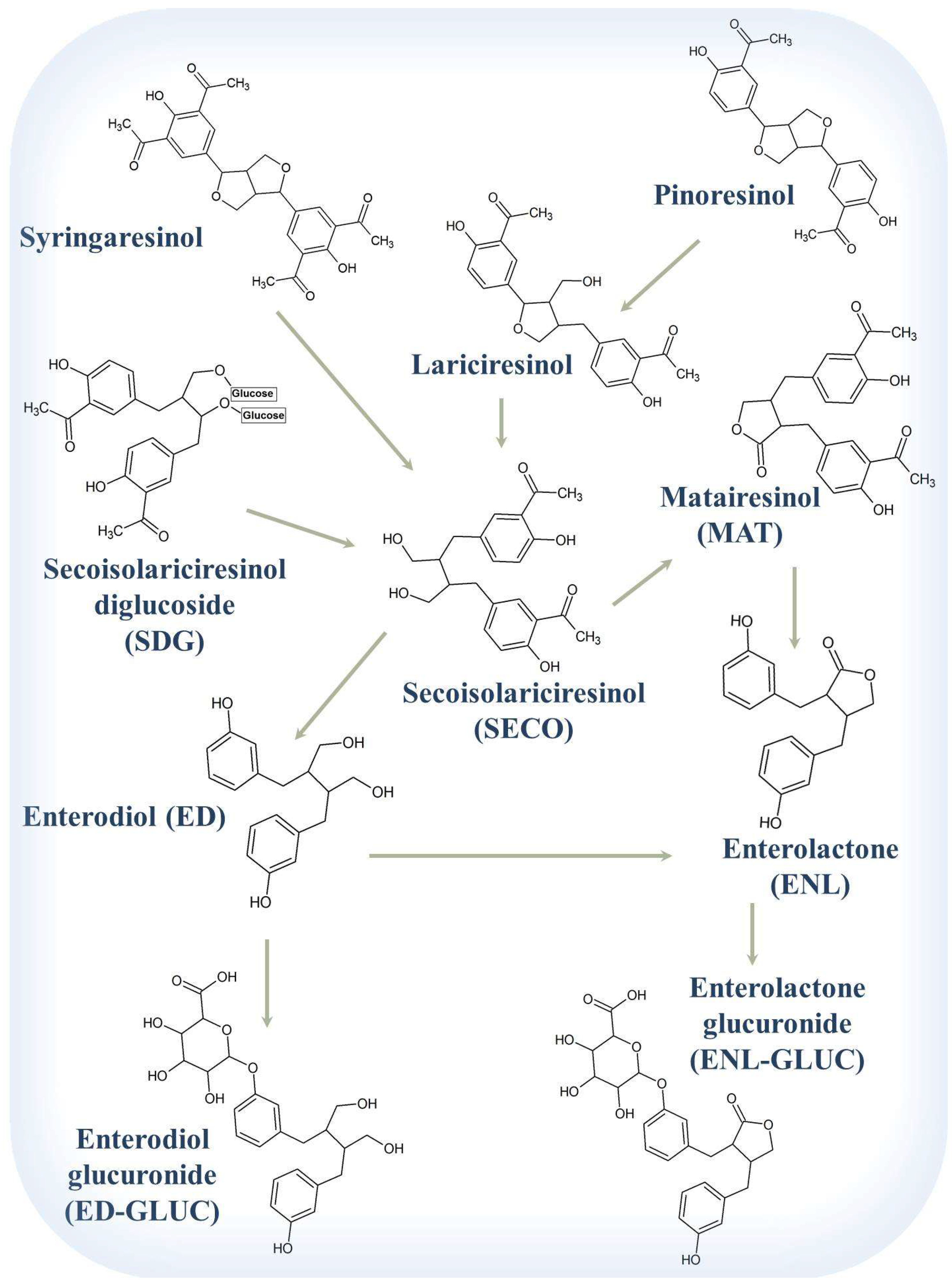 Pharmaceuticals 12 00068 g003