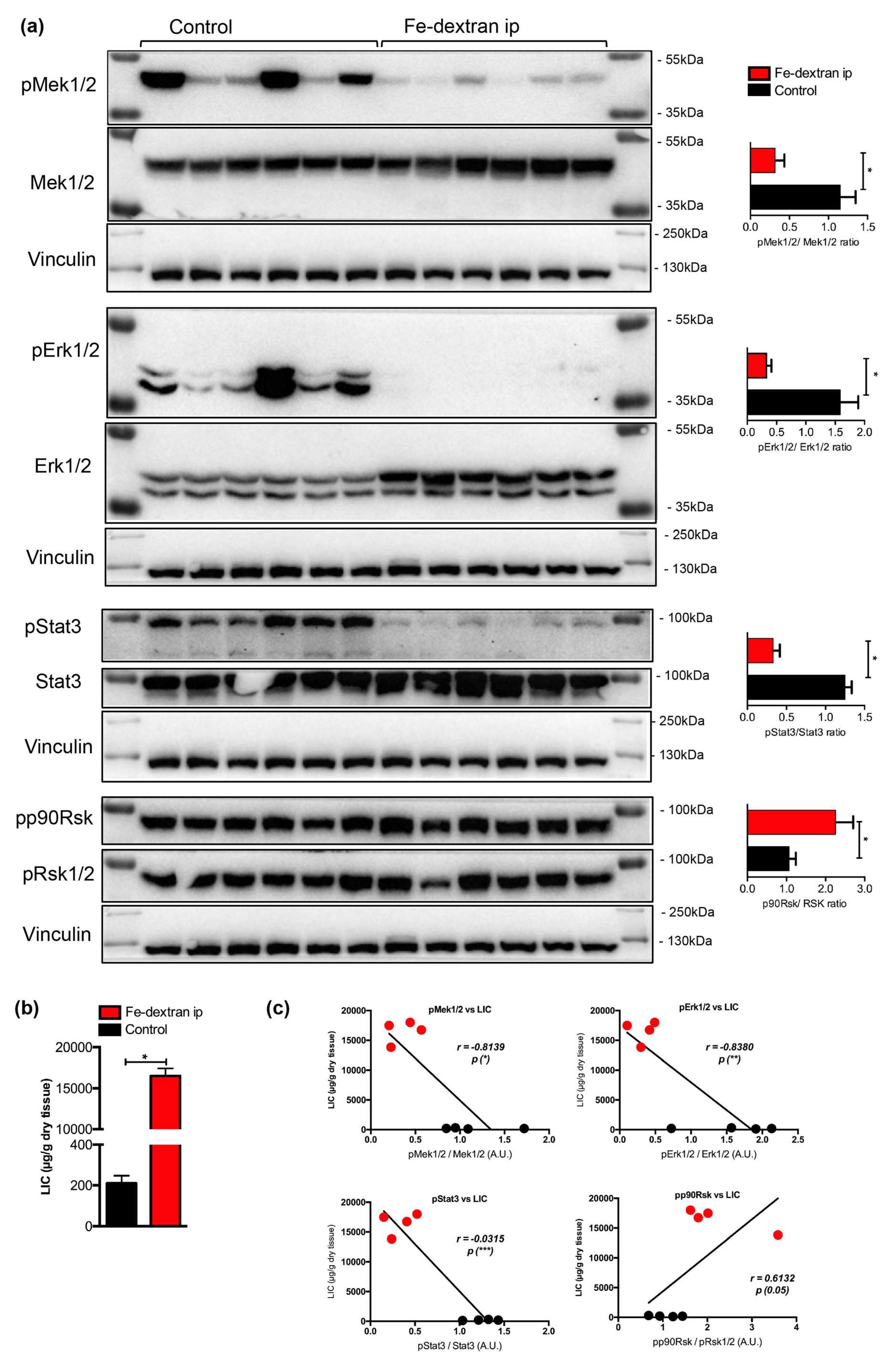 Pharmaceuticals 12 00070 g002 Pharmaceuticals 12 00070 g002