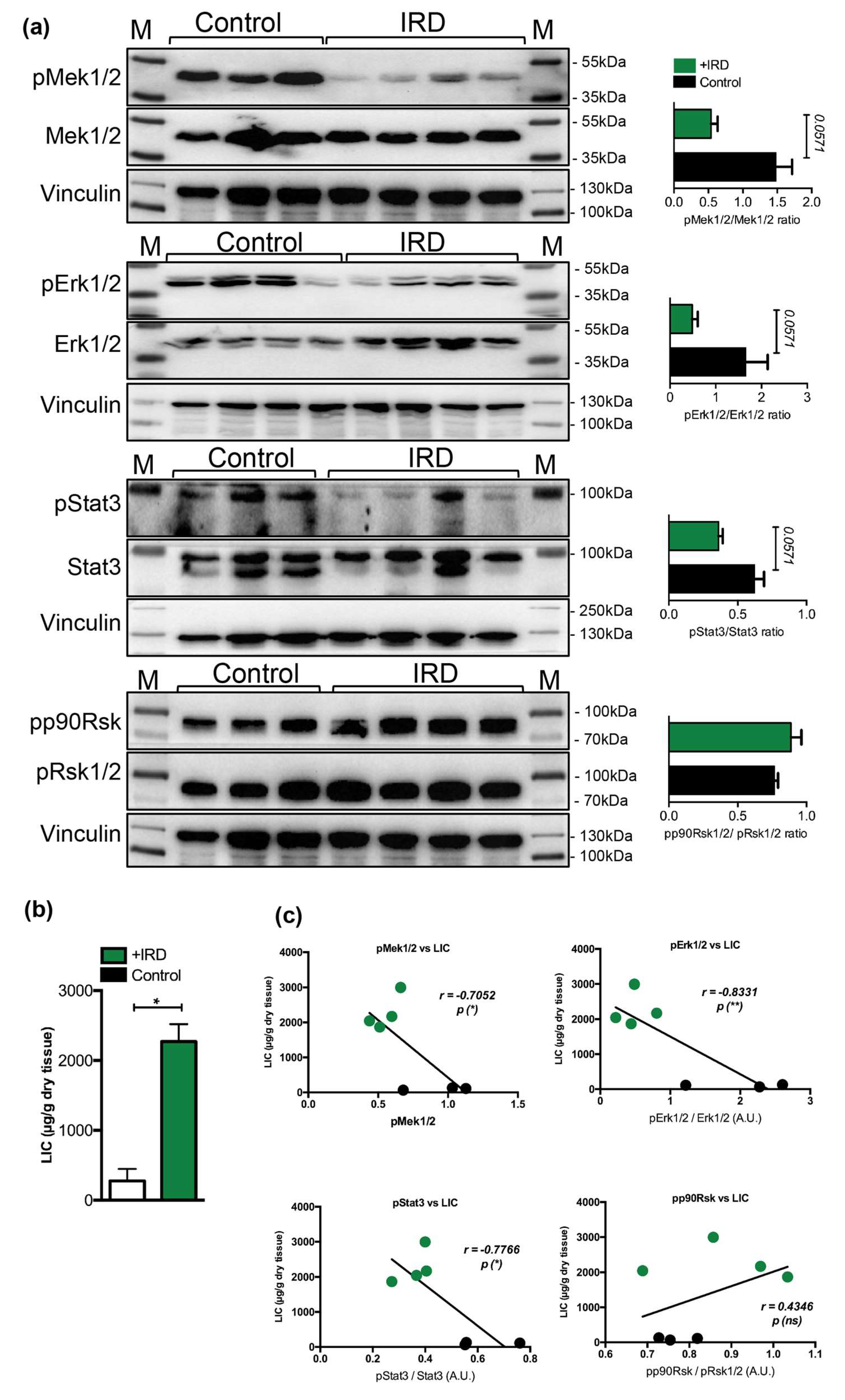 Pharmaceuticals 12 00070 g003 Pharmaceuticals 12 00070 g003