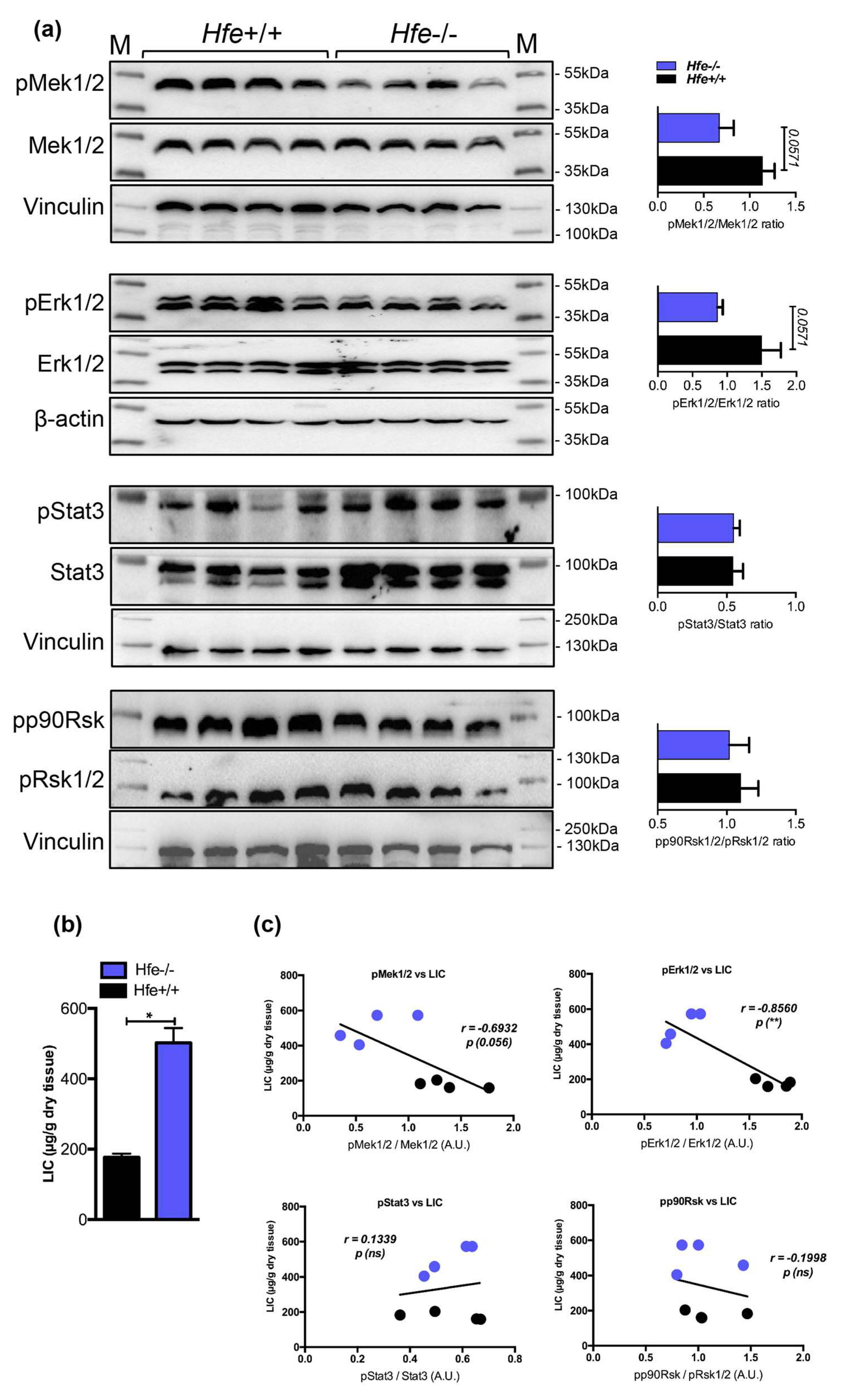 Pharmaceuticals 12 00070 g004 Pharmaceuticals 12 00070 g004