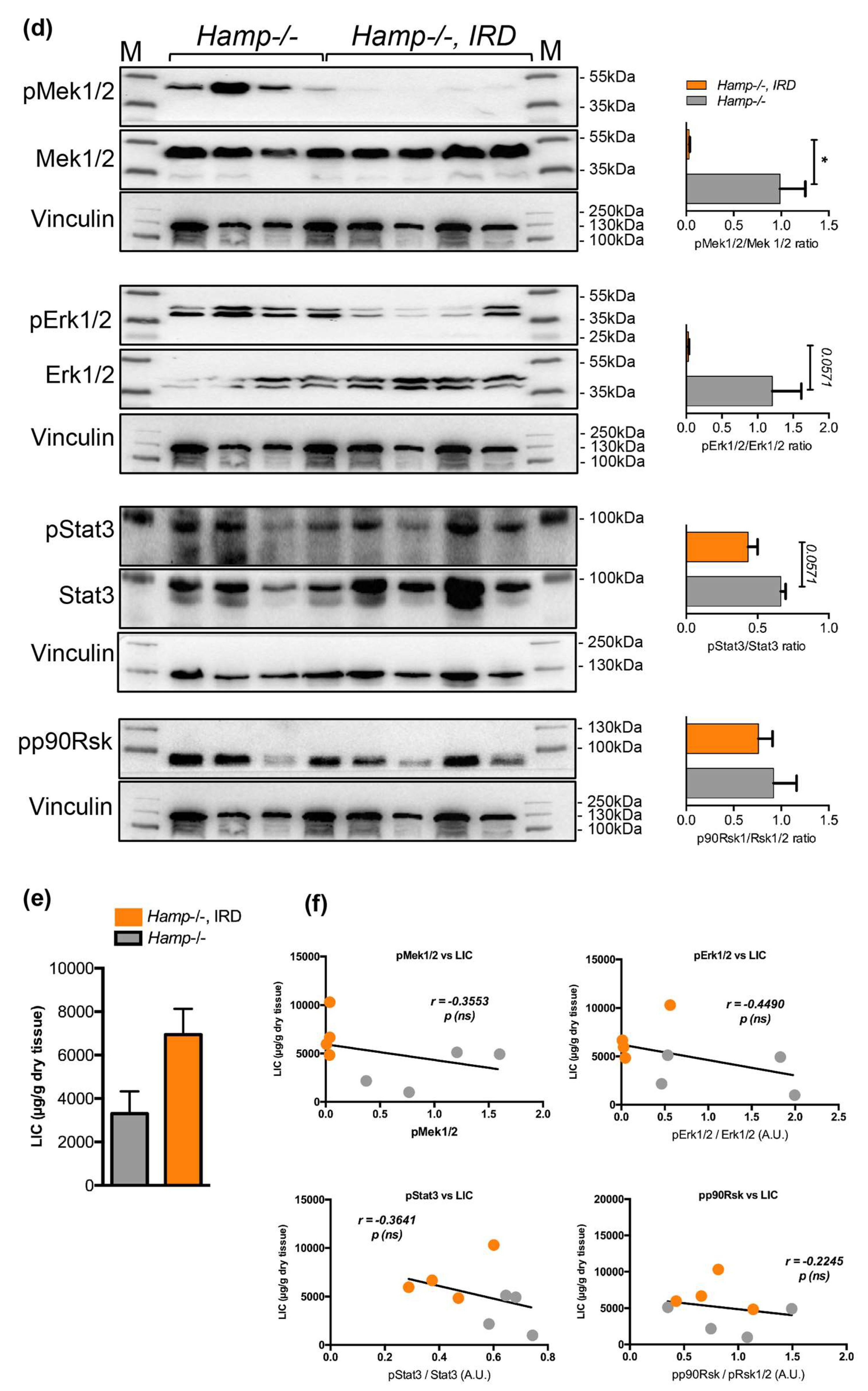 Pharmaceuticals 12 00070 g005b Pharmaceuticals 12 00070 g005b