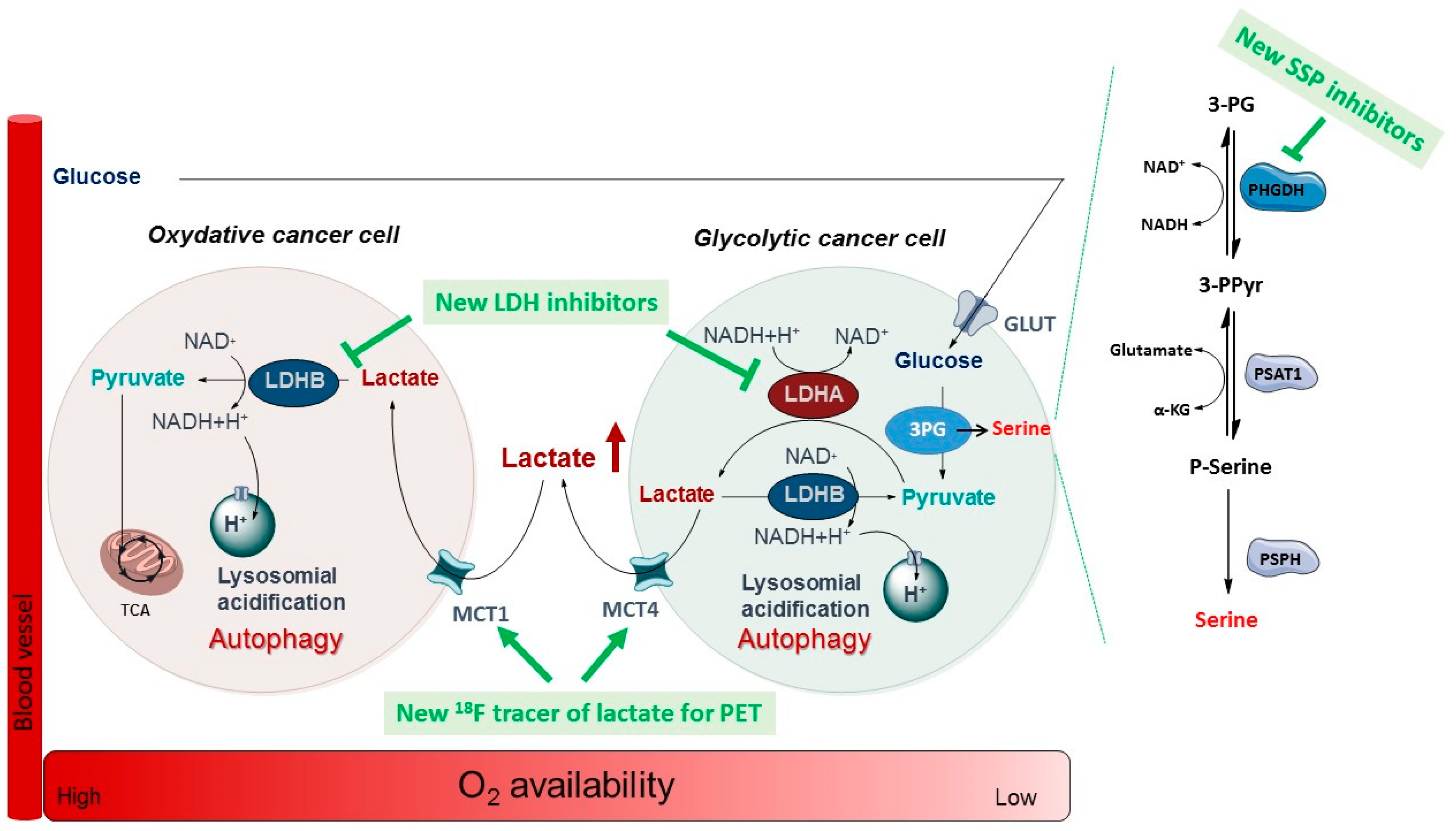 Pharmaceuticals 12 00073 i003