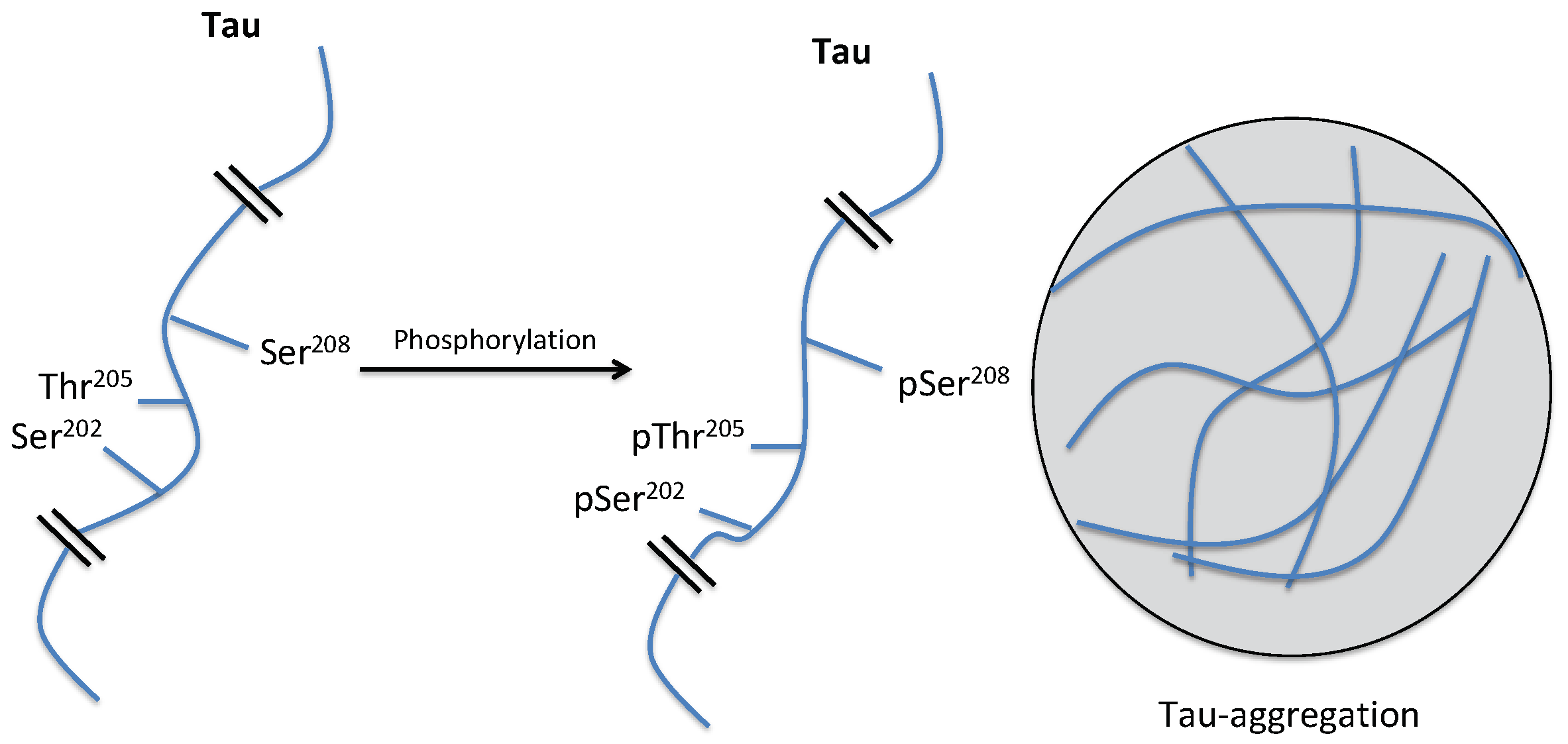 Pharmaceuticals 12 00073 i040