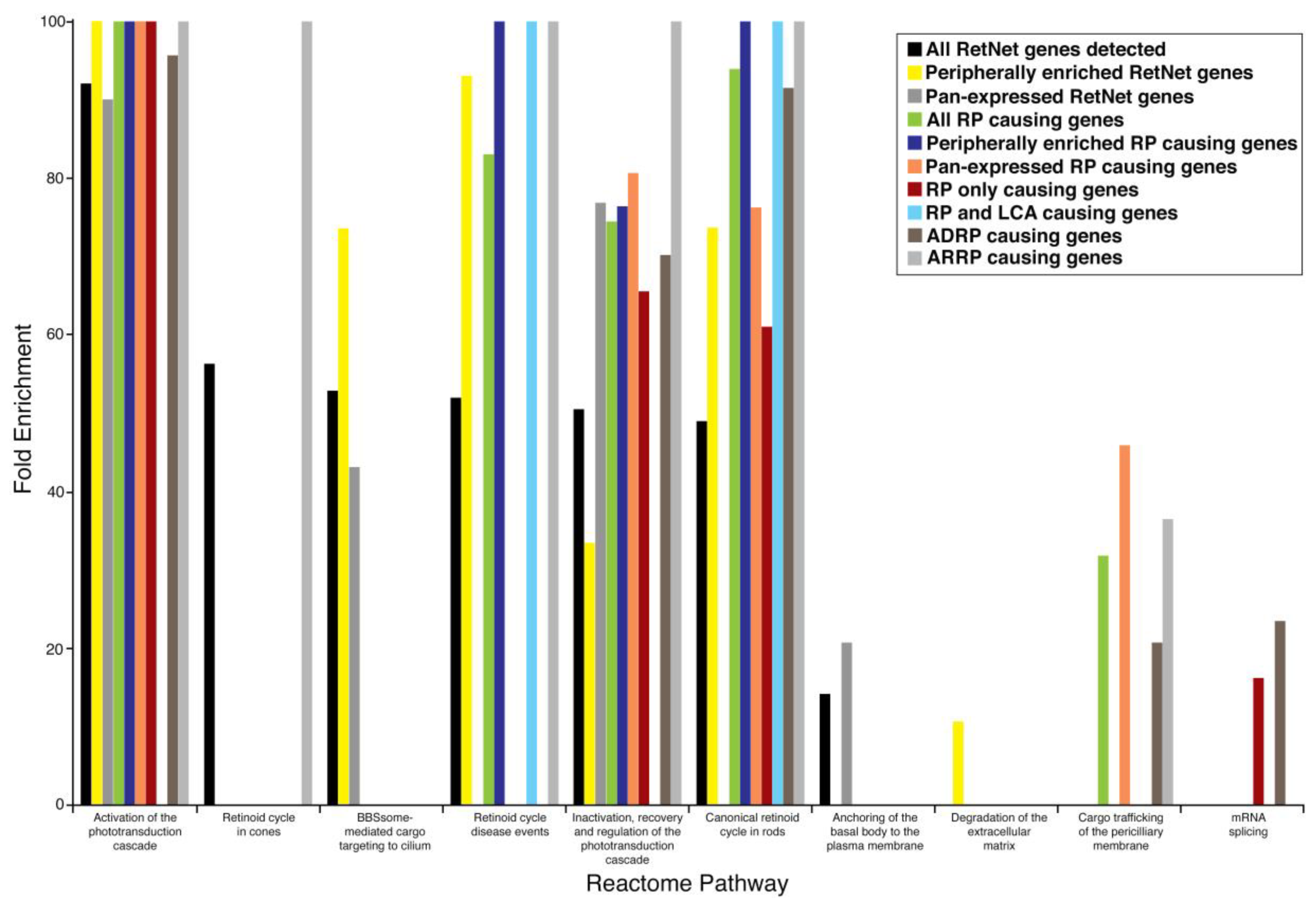 Pharmaceuticals 12 00074 g002 Pharmaceuticals 12 00074 g002