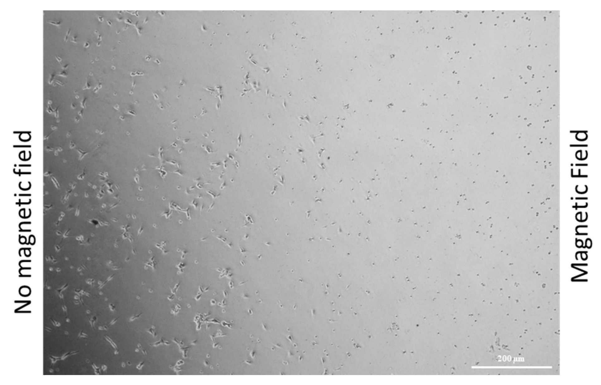 Pharmaceuticals 12 00076 g009 Pharmaceuticals 12 00076 g009