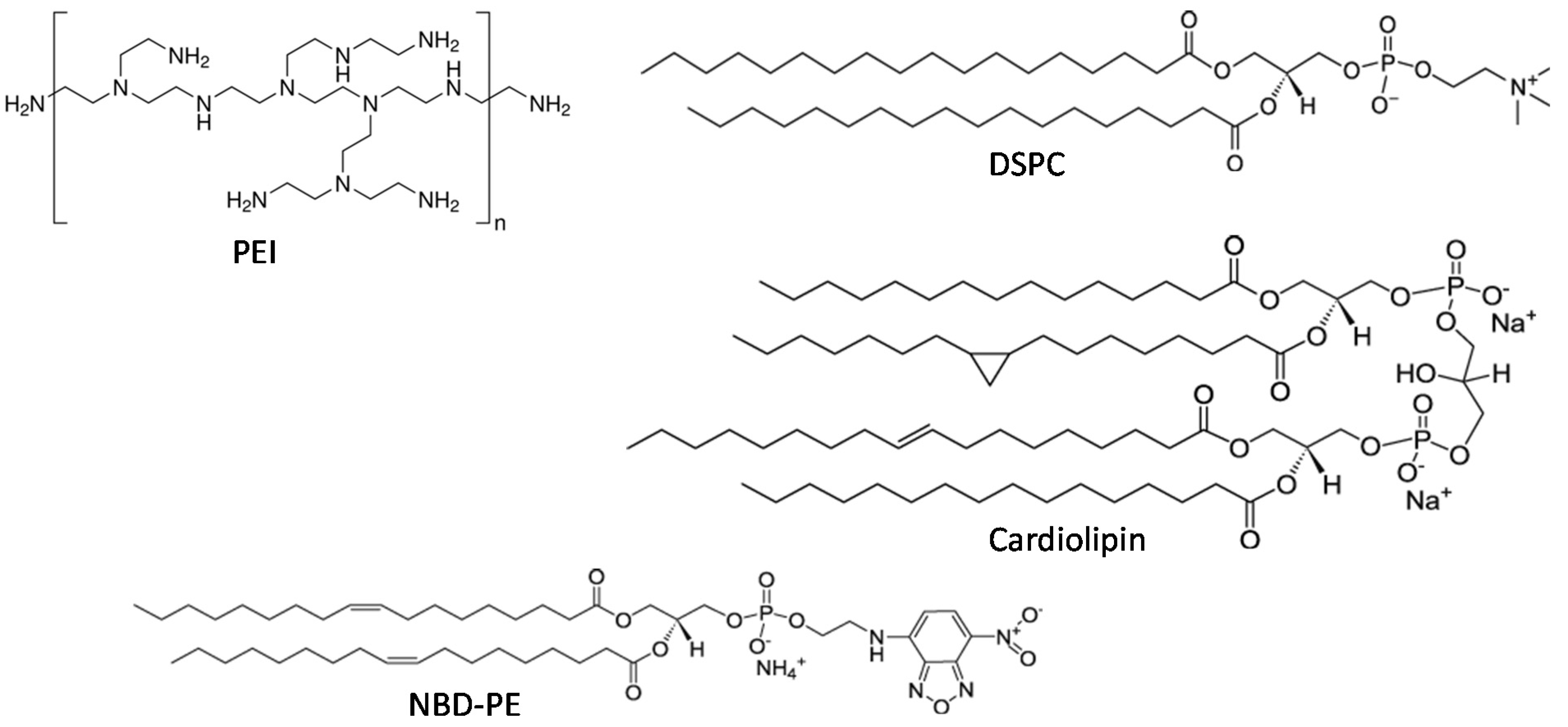 Pharmaceuticals 12 00081 g0a1 Pharmaceuticals 12 00081 g0a1