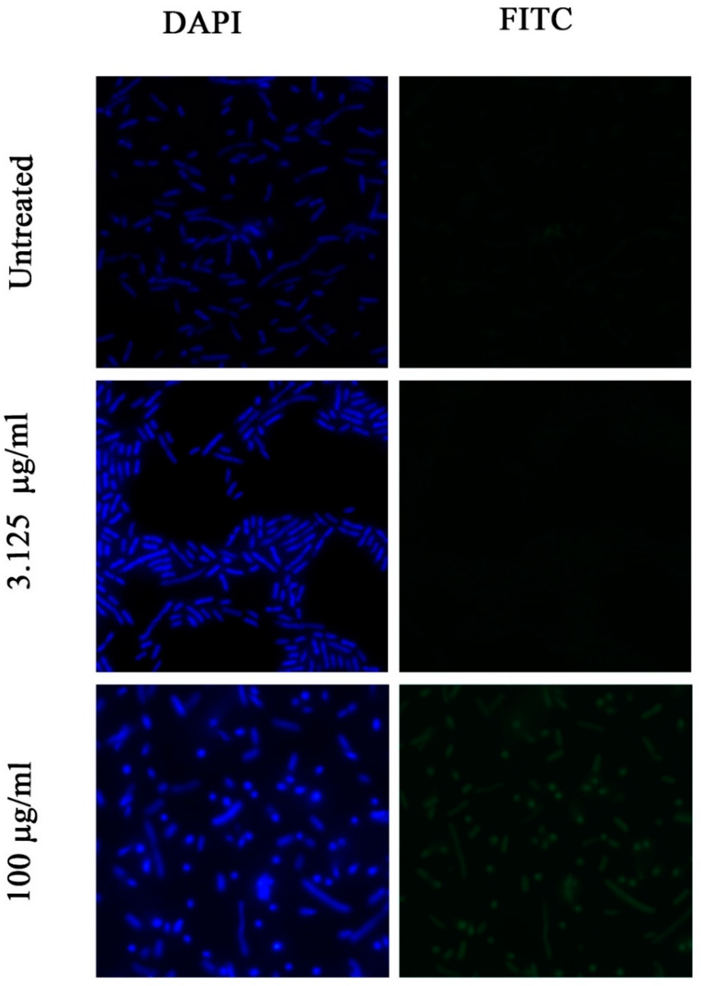 Pharmaceuticals 12 00082 g004 Pharmaceuticals 12 00082 g004