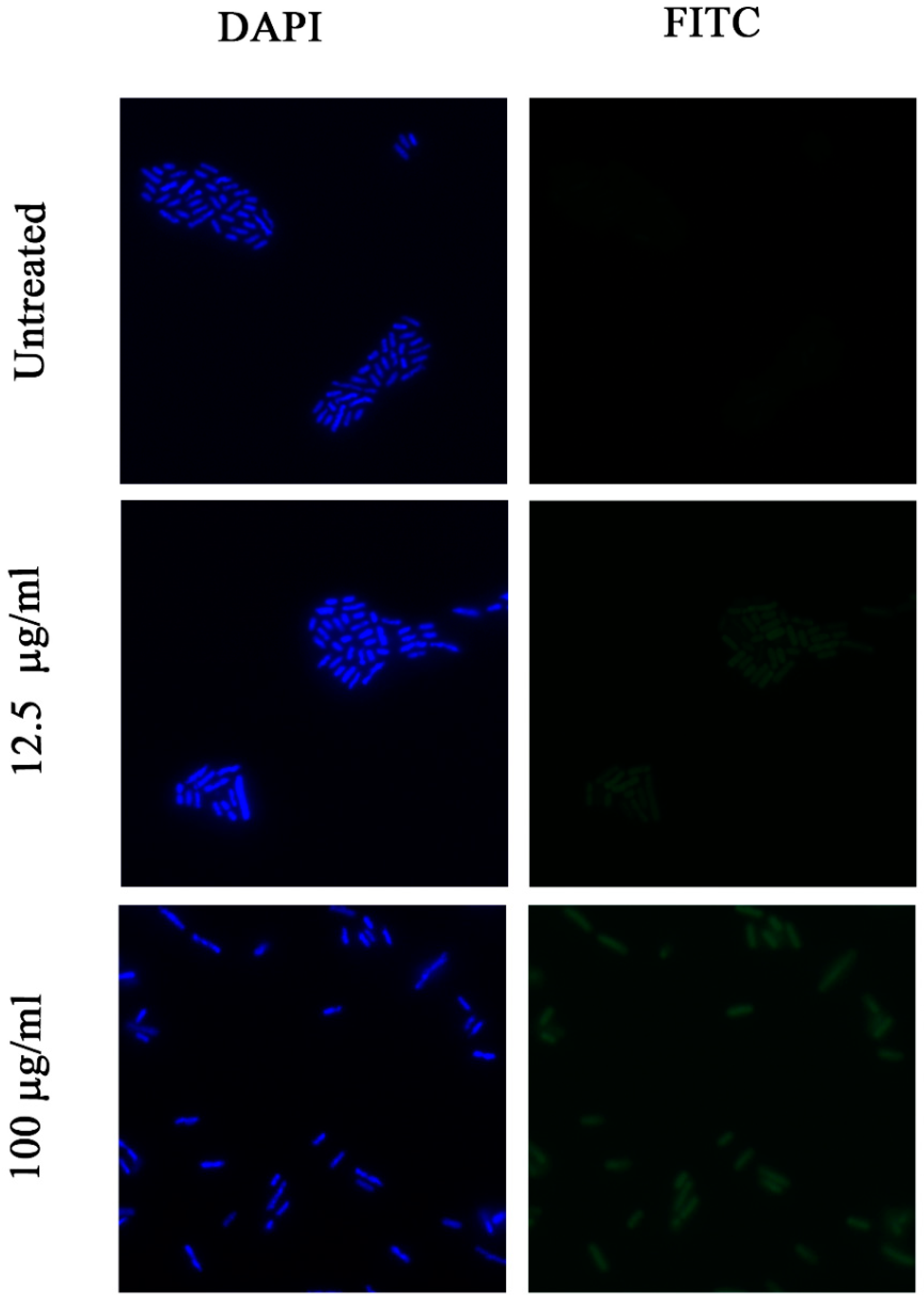 Pharmaceuticals 12 00082 g005 Pharmaceuticals 12 00082 g005