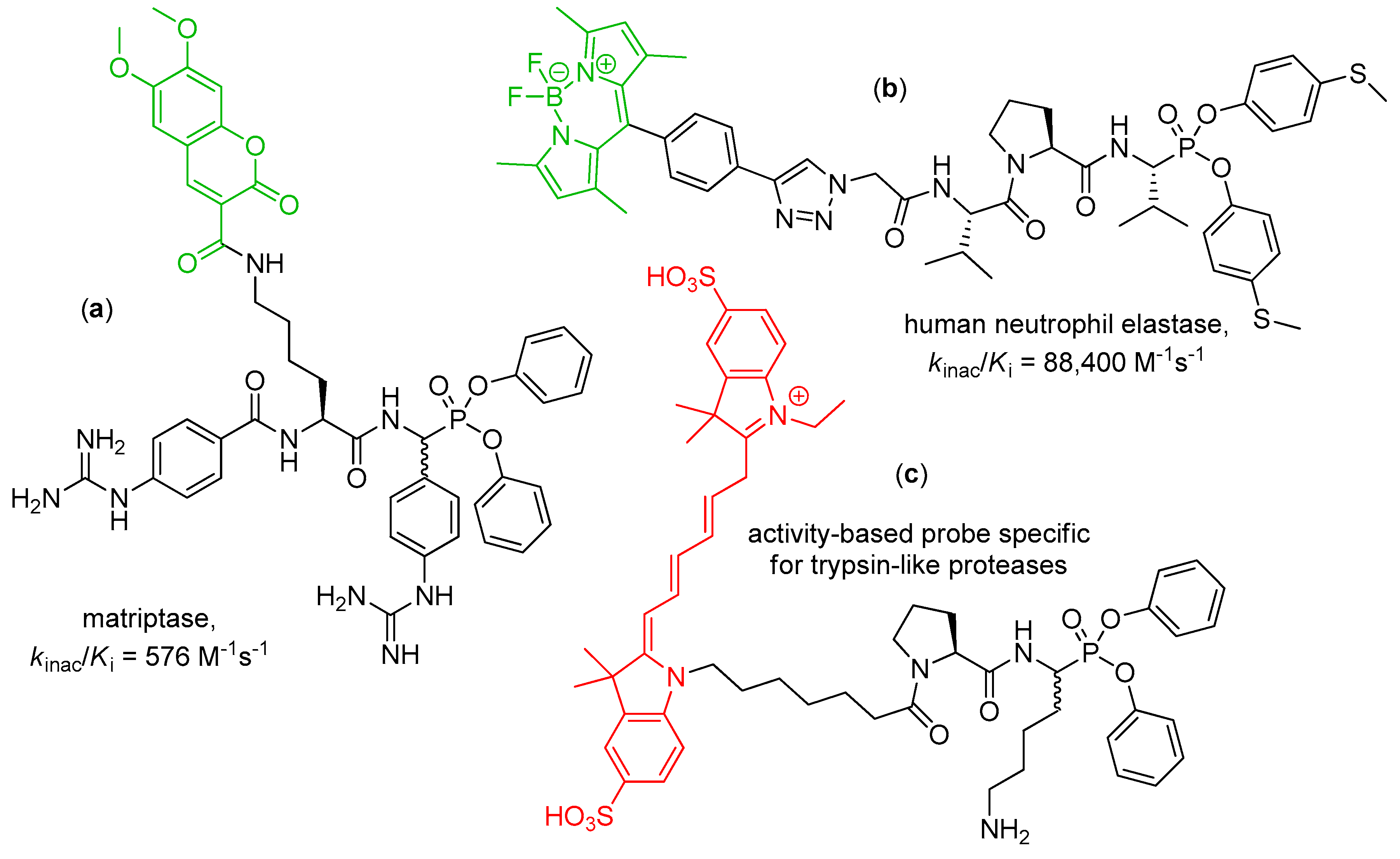 Pharmaceuticals 12 00086 g001