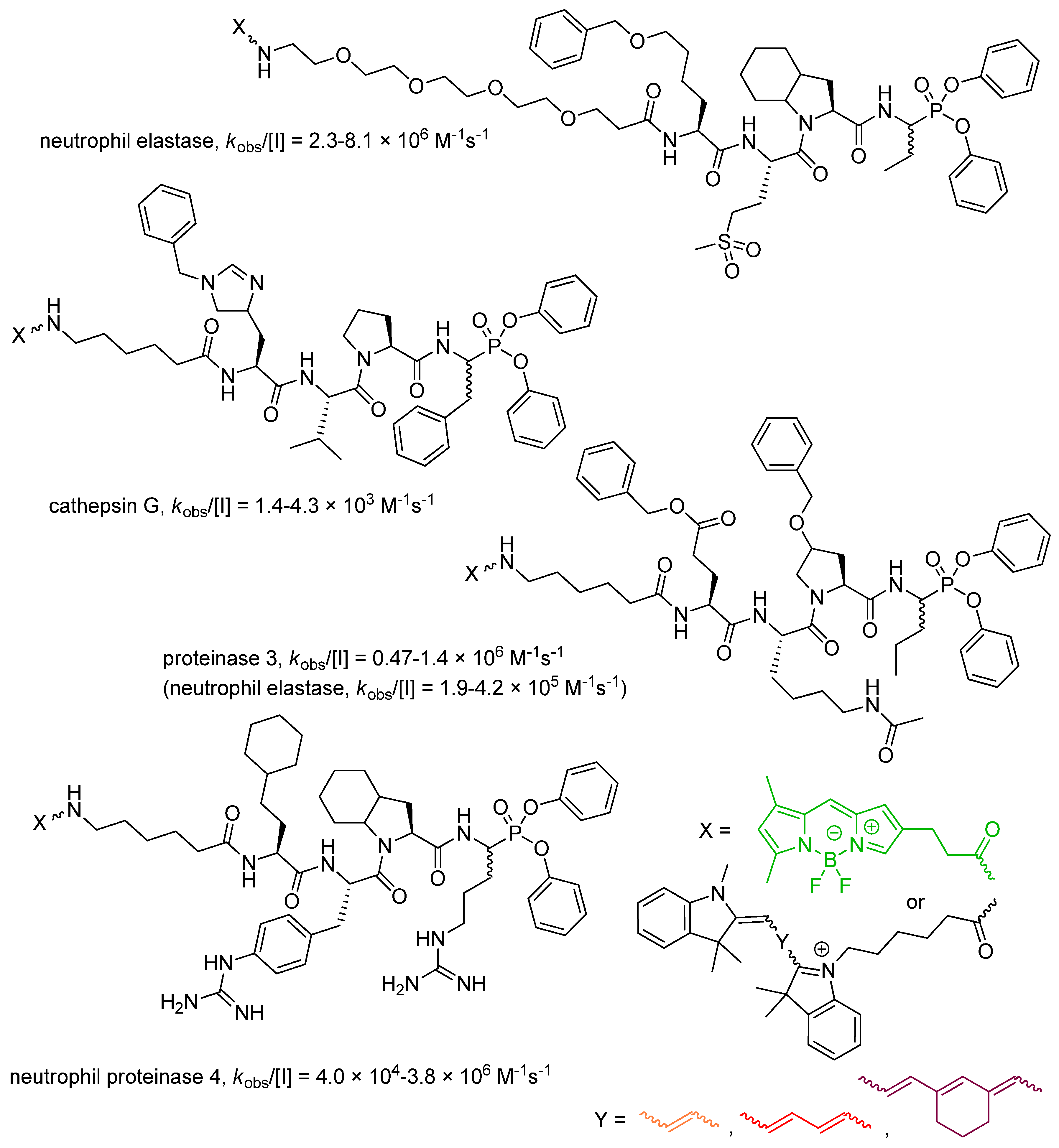 Pharmaceuticals 12 00086 g003