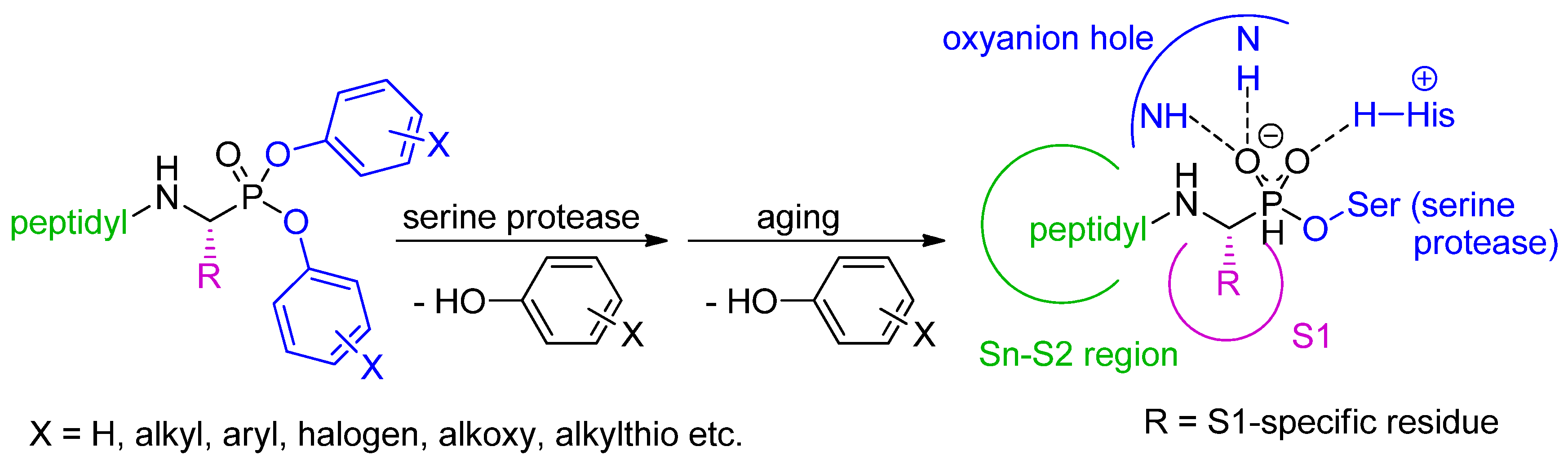Pharmaceuticals 12 00086 sch001