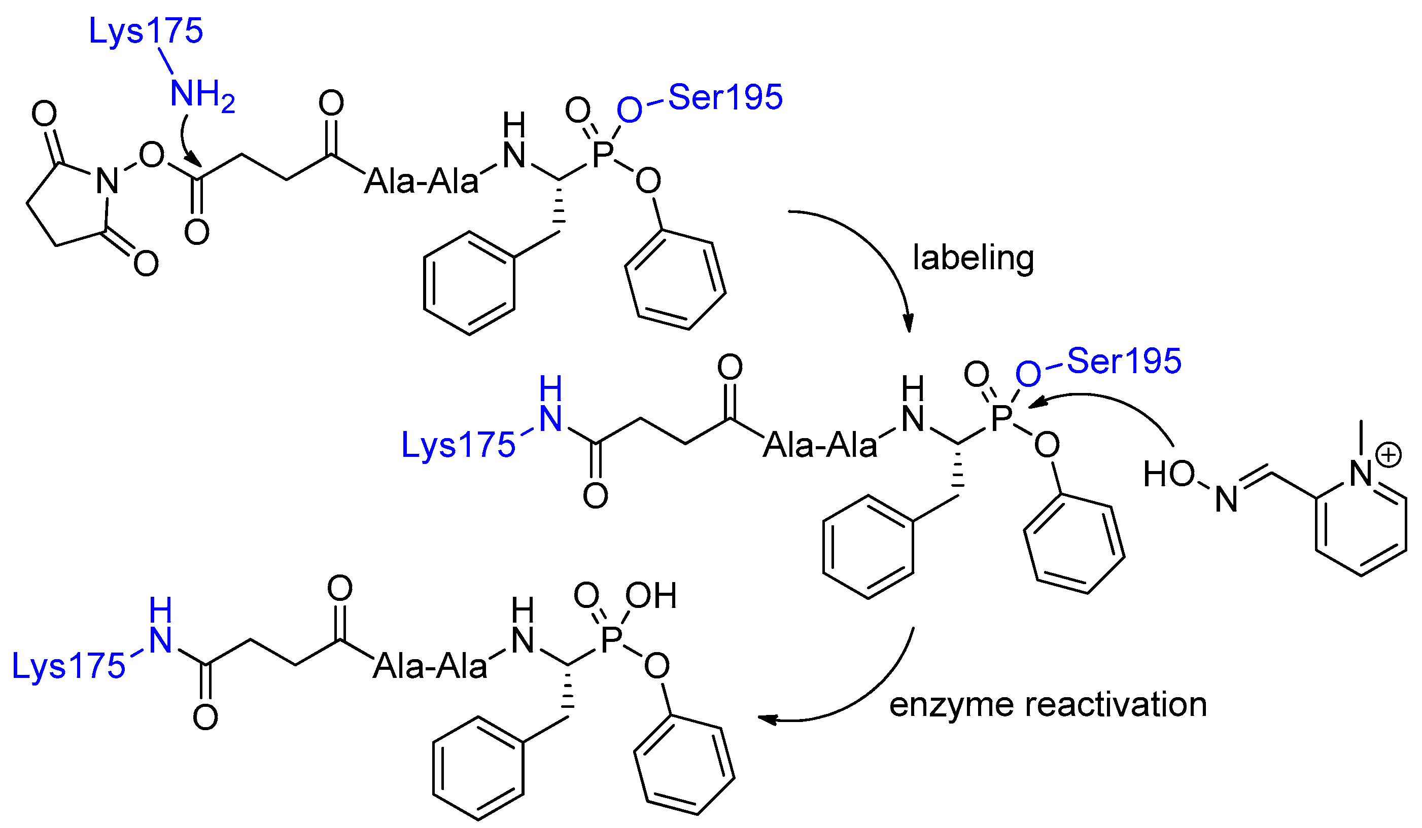 Pharmaceuticals 12 00086 sch002