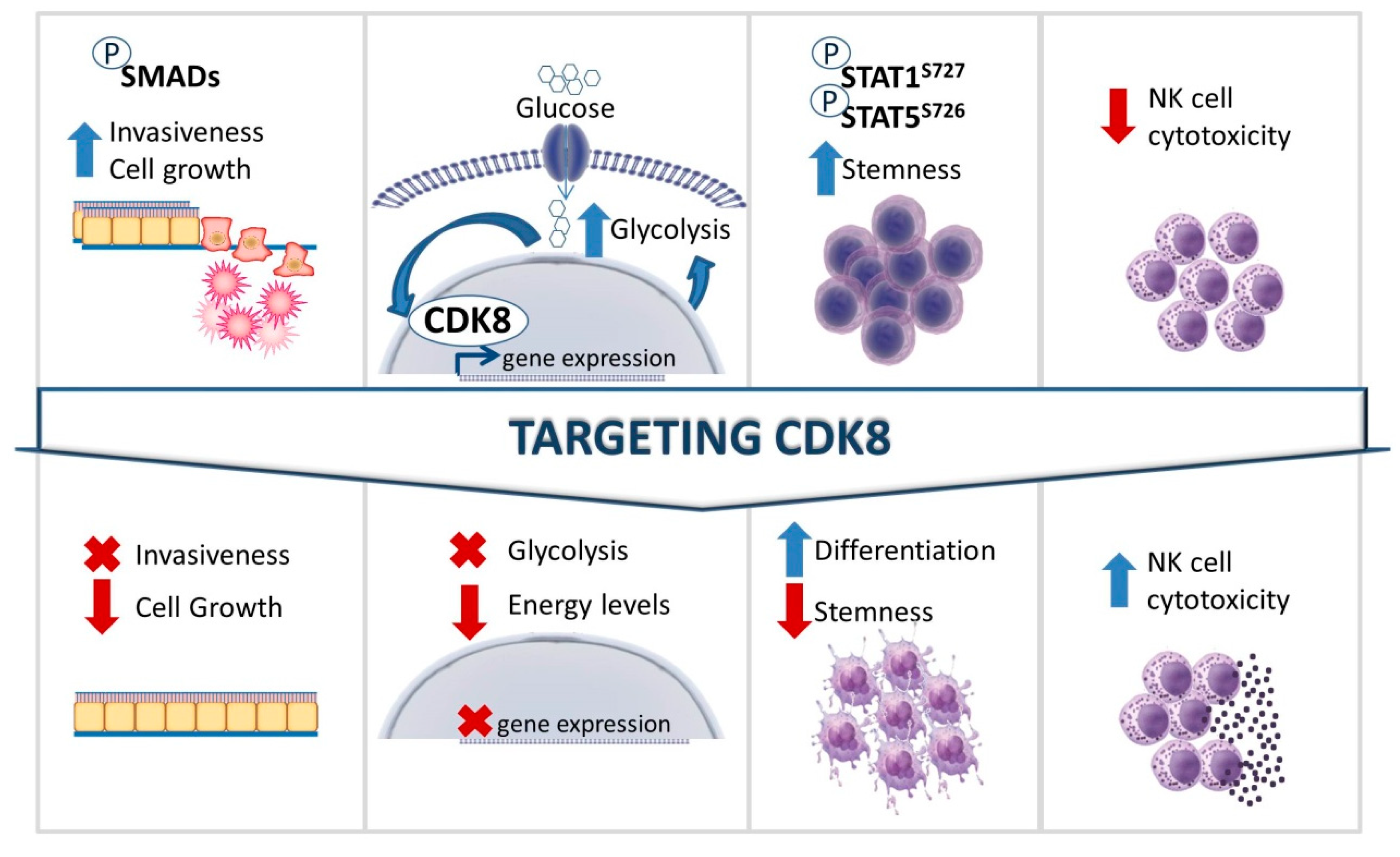 Pharmaceuticals 12 00092 g003 Pharmaceuticals 12 00092 g003