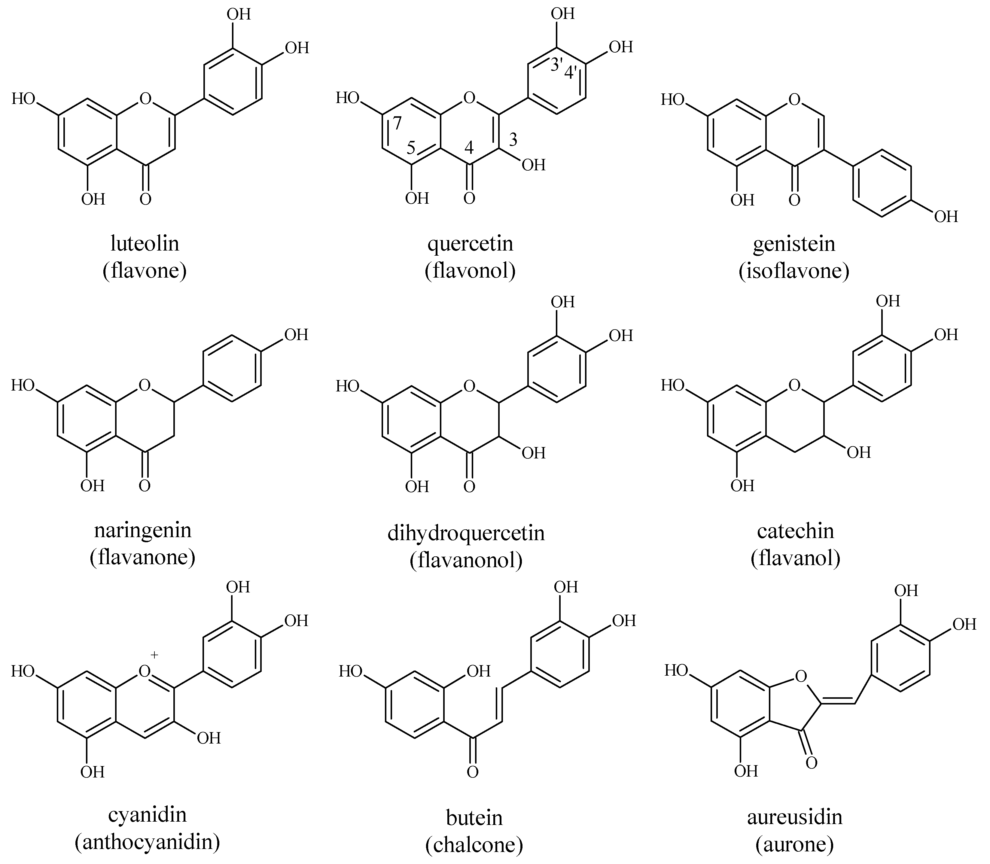 Pharmaceuticals 12 00119 g004