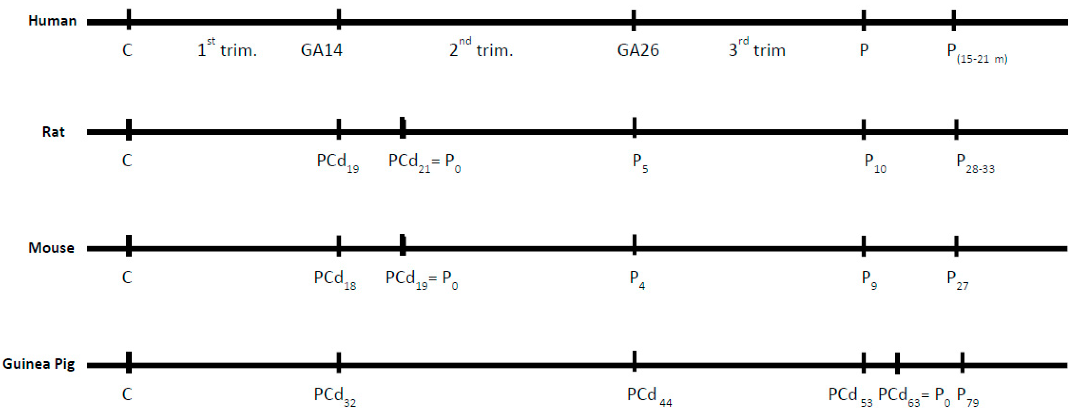 Pharmaceuticals 12 00120 g001 Pharmaceuticals 12 00120 g001