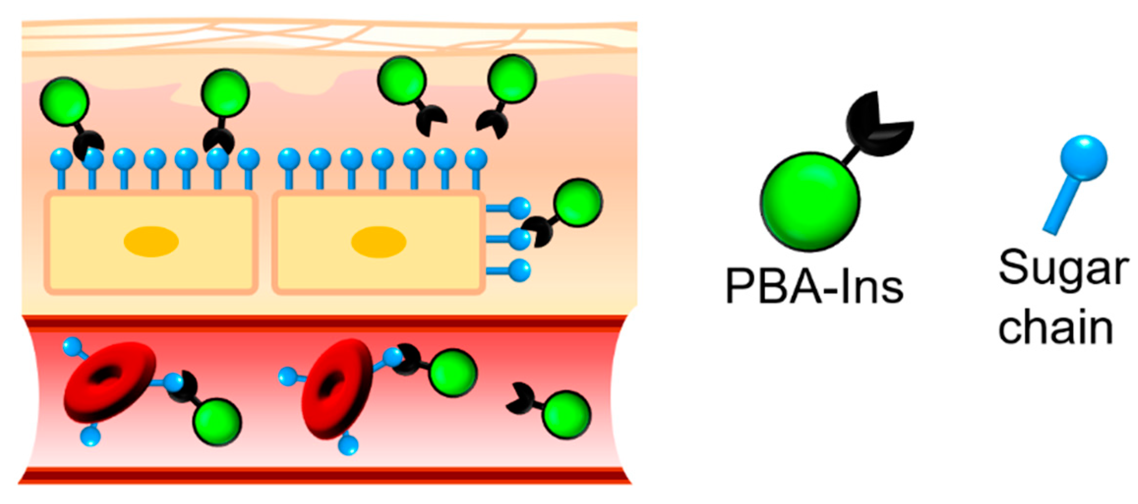 Pharmaceuticals 12 00121 g002