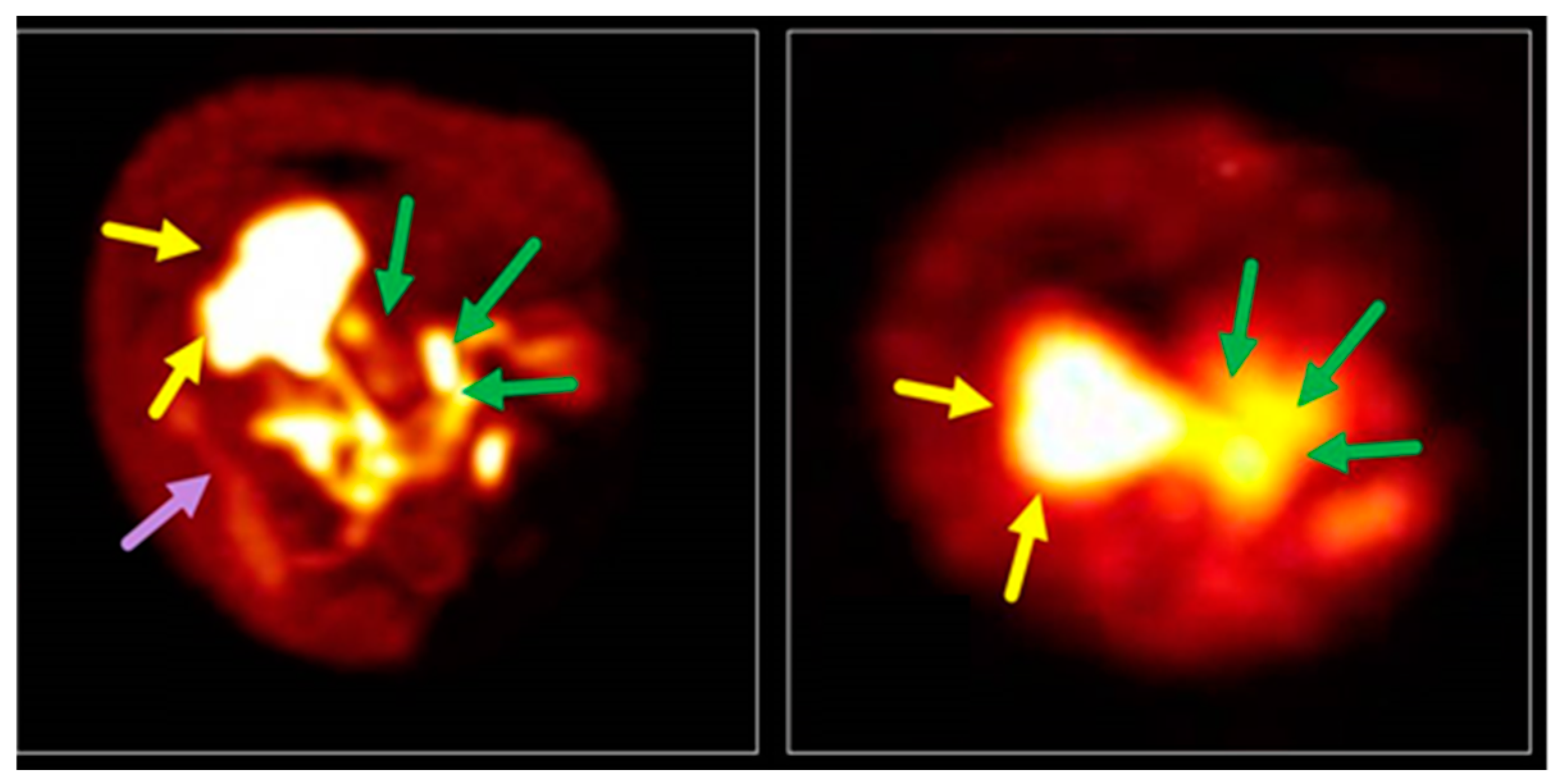 Pharmaceuticals 12 00137 g008