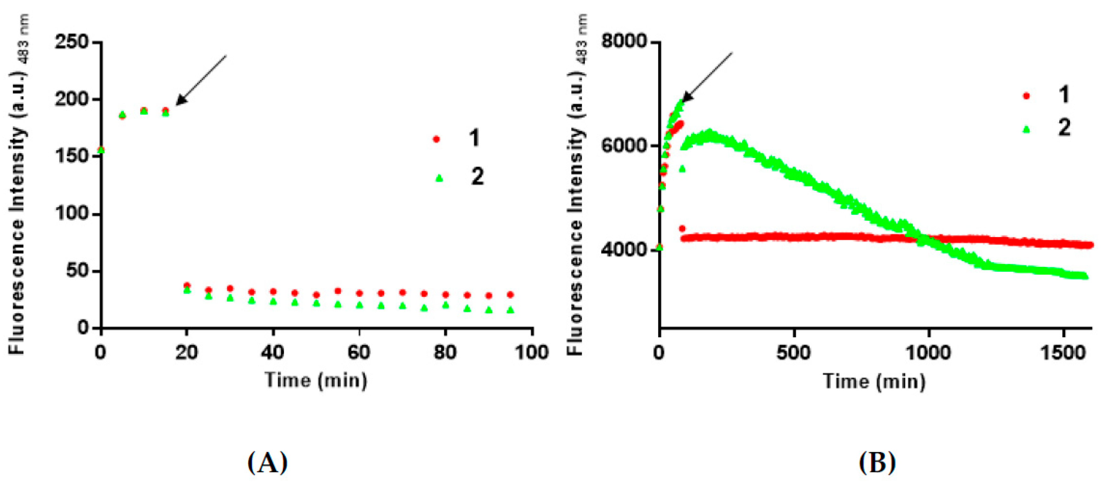 Pharmaceuticals 12 00154 g003