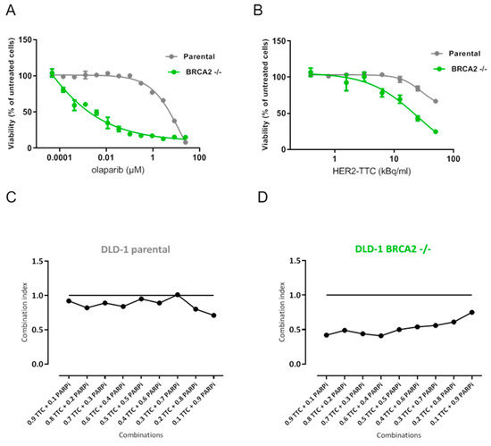 Synergistic Effect of a HER2 Targeted Thorium-227 Conjugate