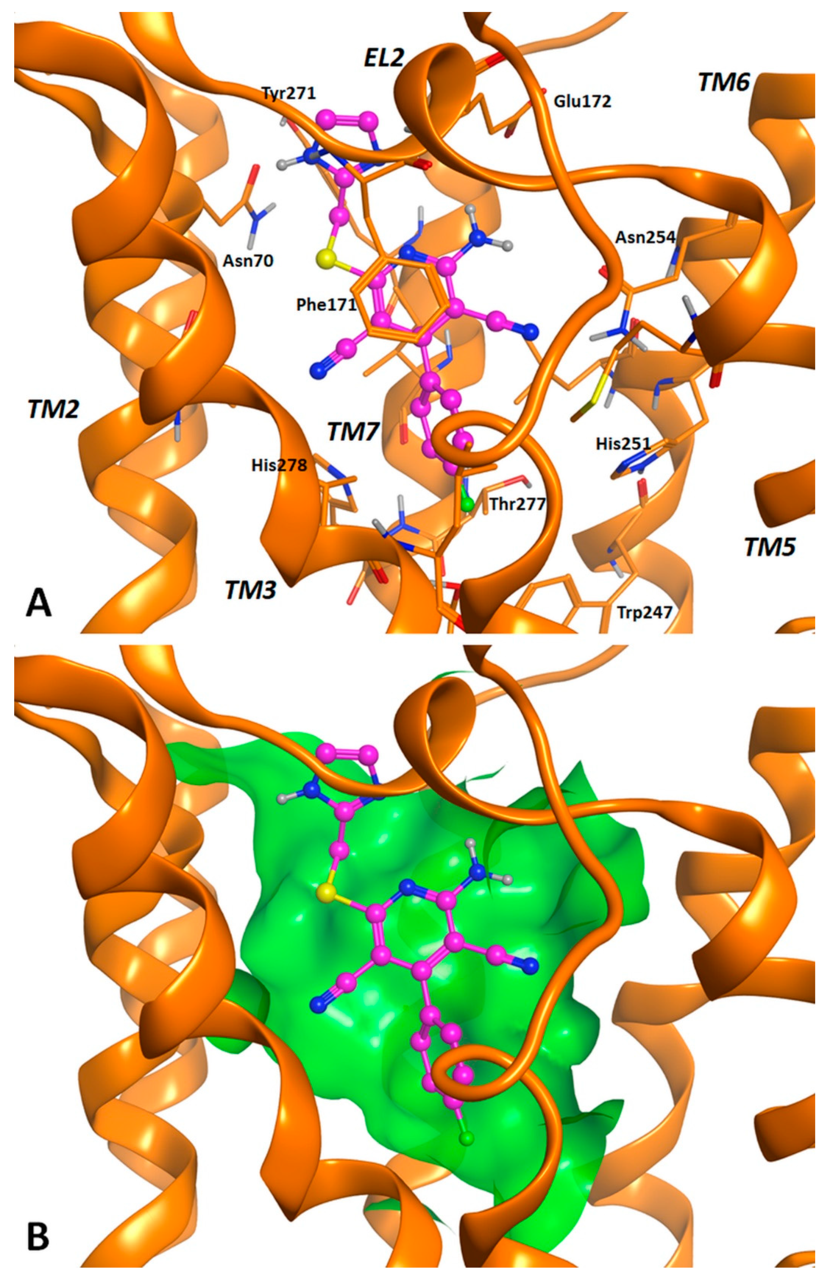 Pharmaceuticals 12 00159 g002