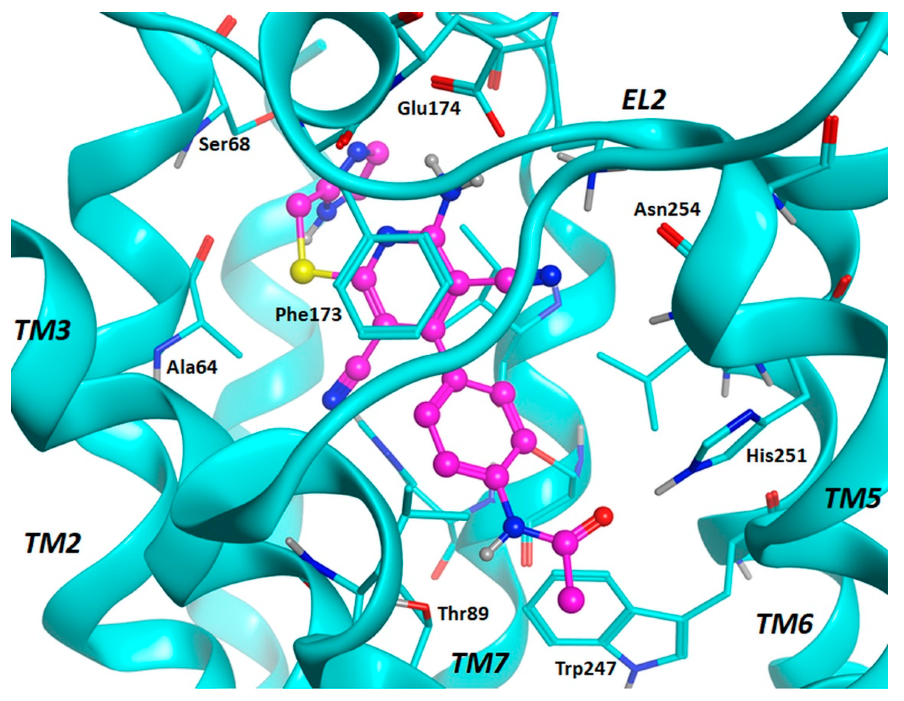 Pharmaceuticals 12 00159 g003