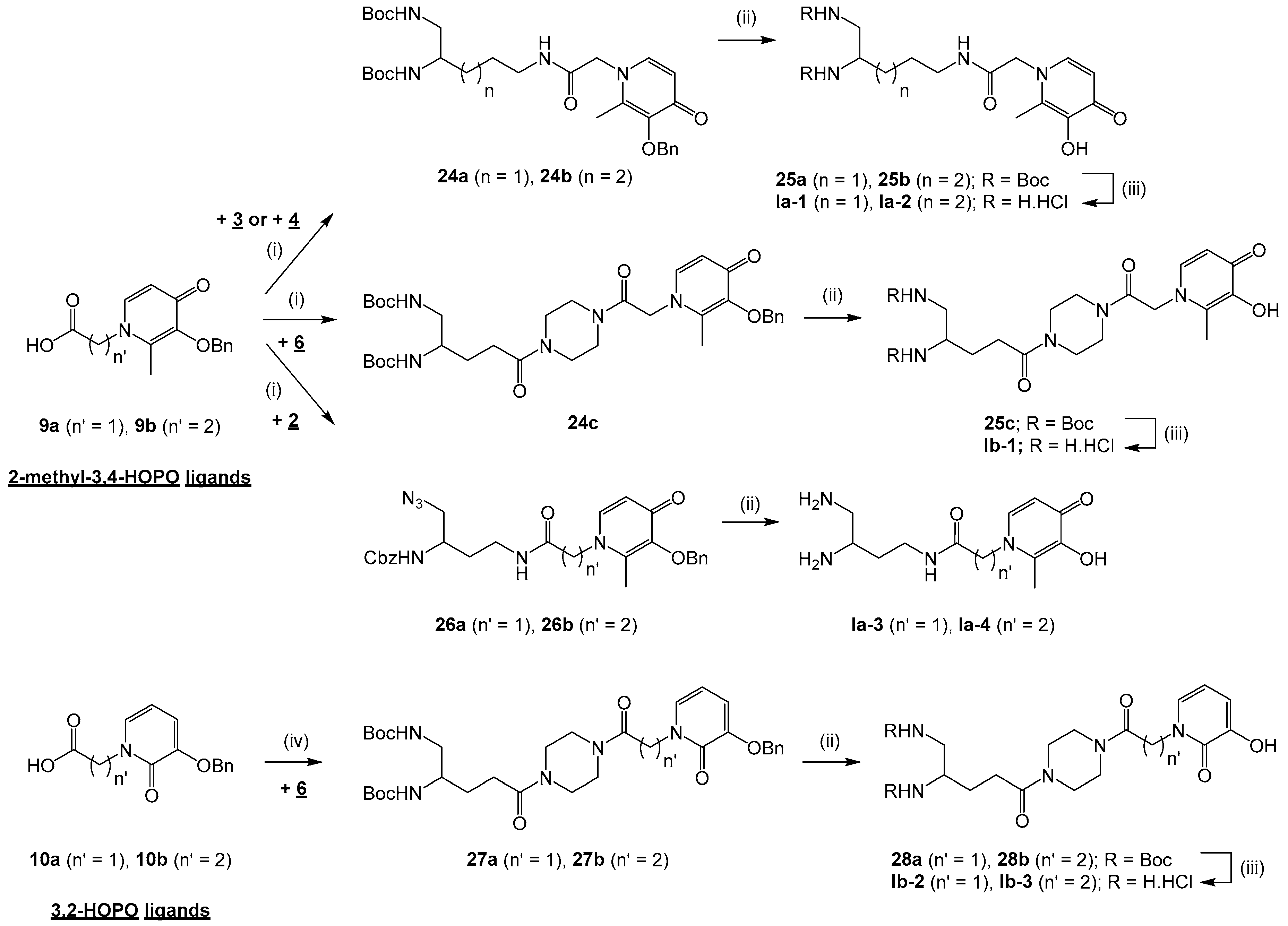 Pharmaceuticals 12 00162 sch003