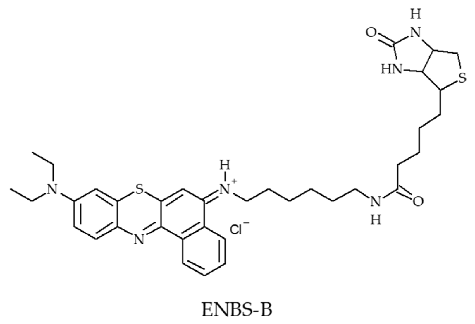 Pharmaceuticals 12 00163 g047