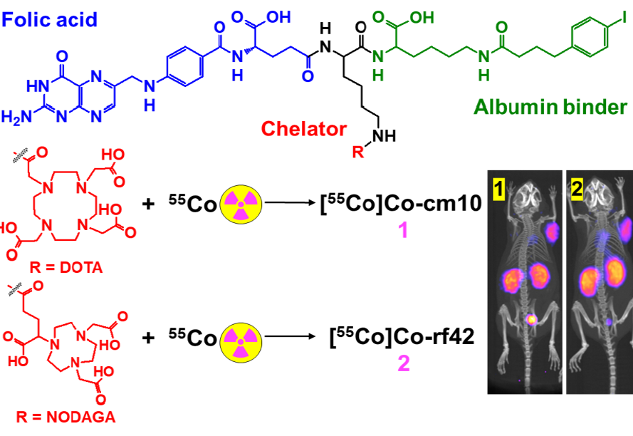 Pharmaceuticals Free FullText New 55Colabeled AlbuminBinding