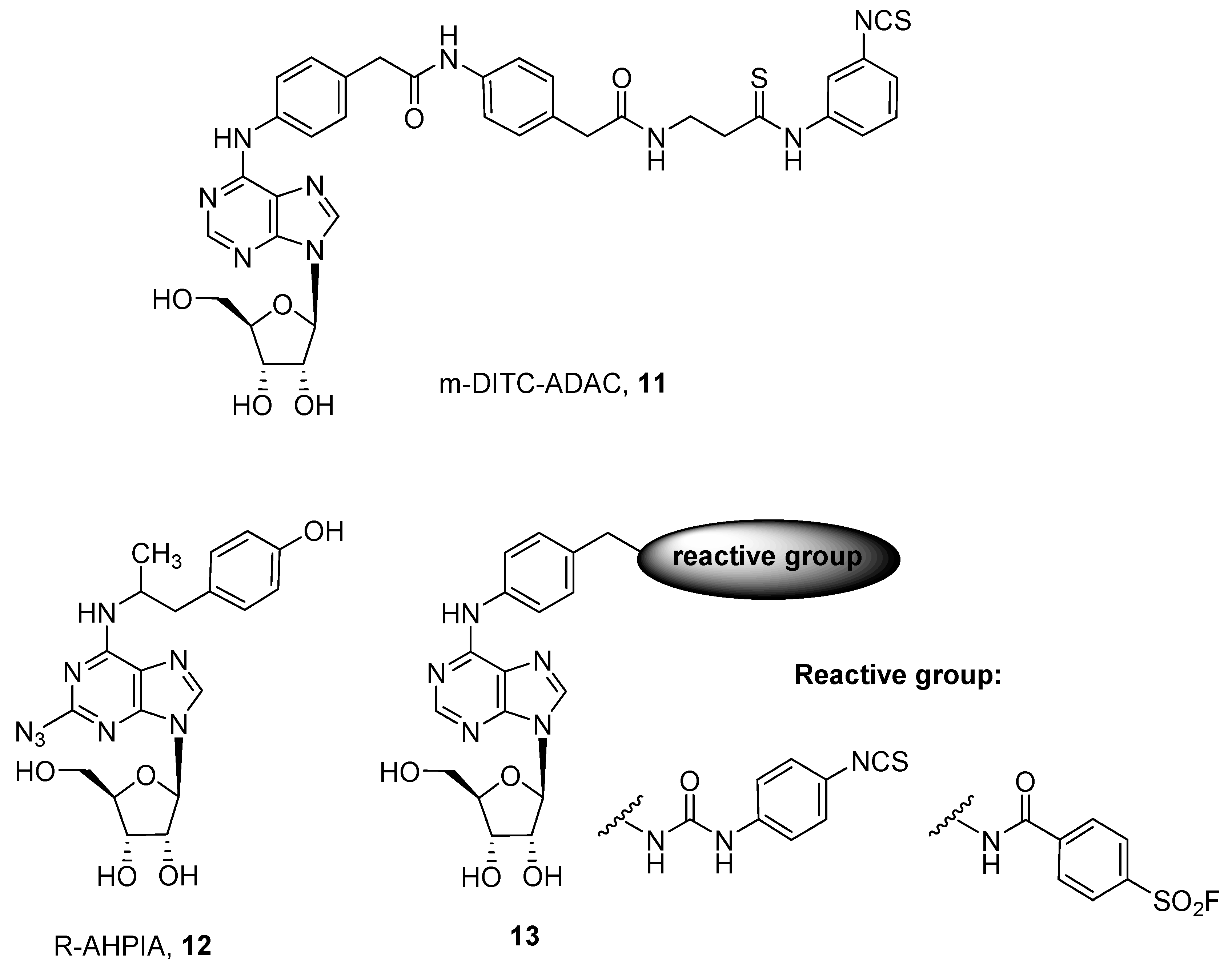 Pharmaceuticals 12 00168 g004