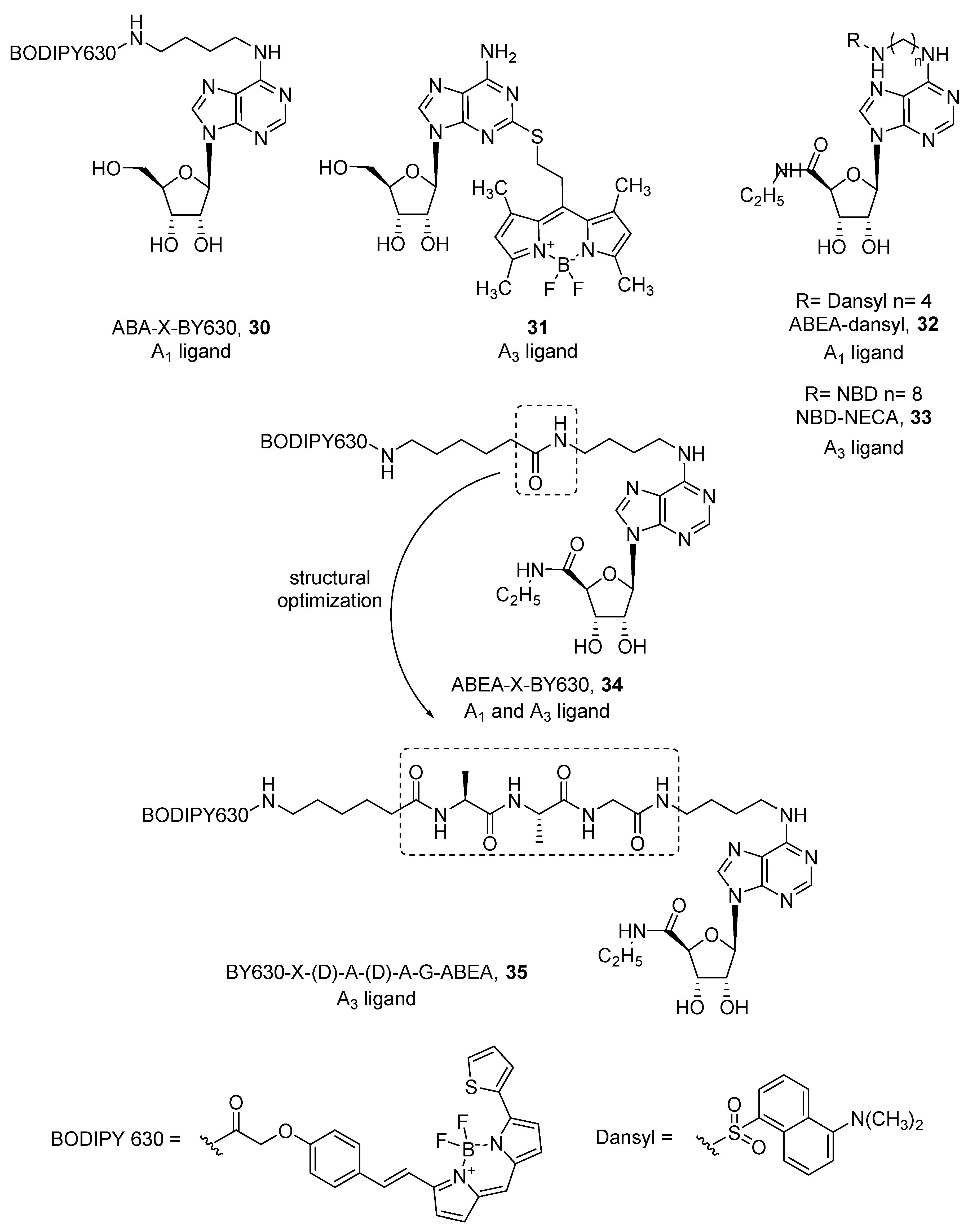 Pharmaceuticals 12 00168 g009