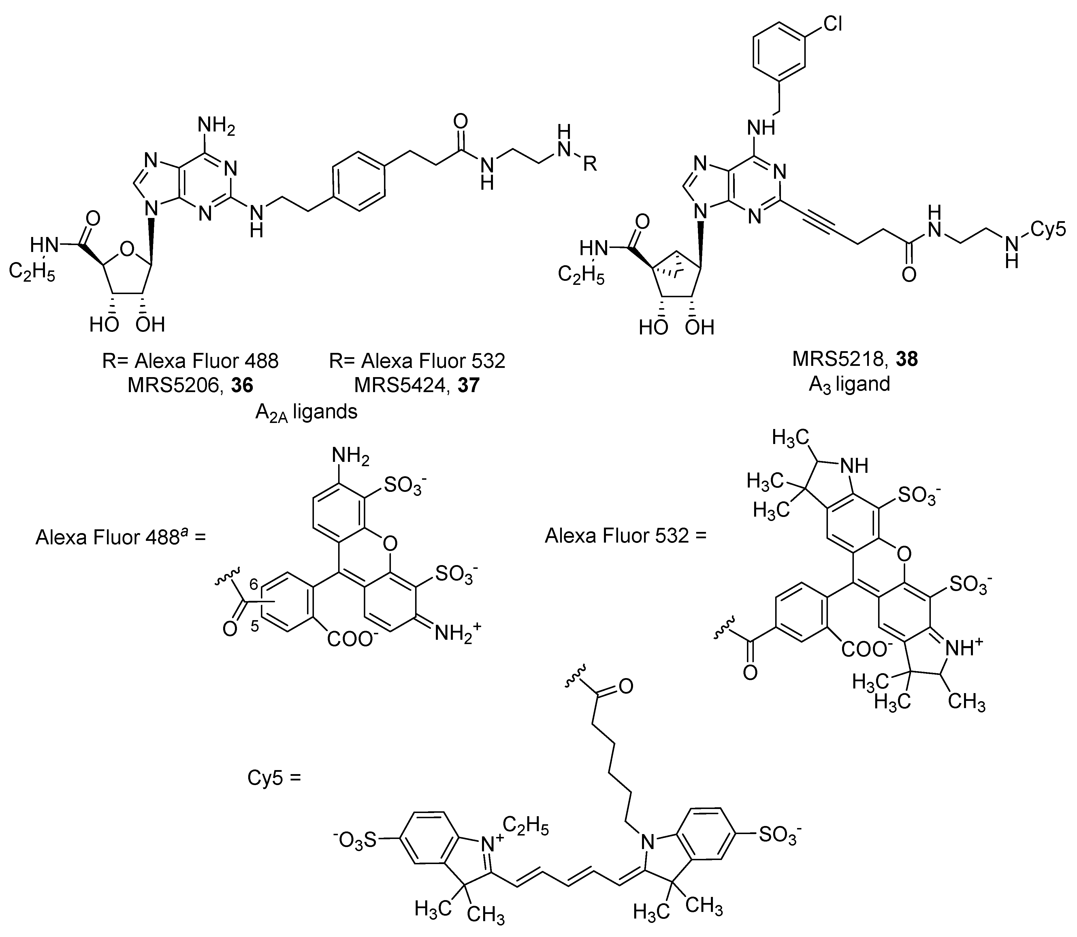 Pharmaceuticals 12 00168 g010