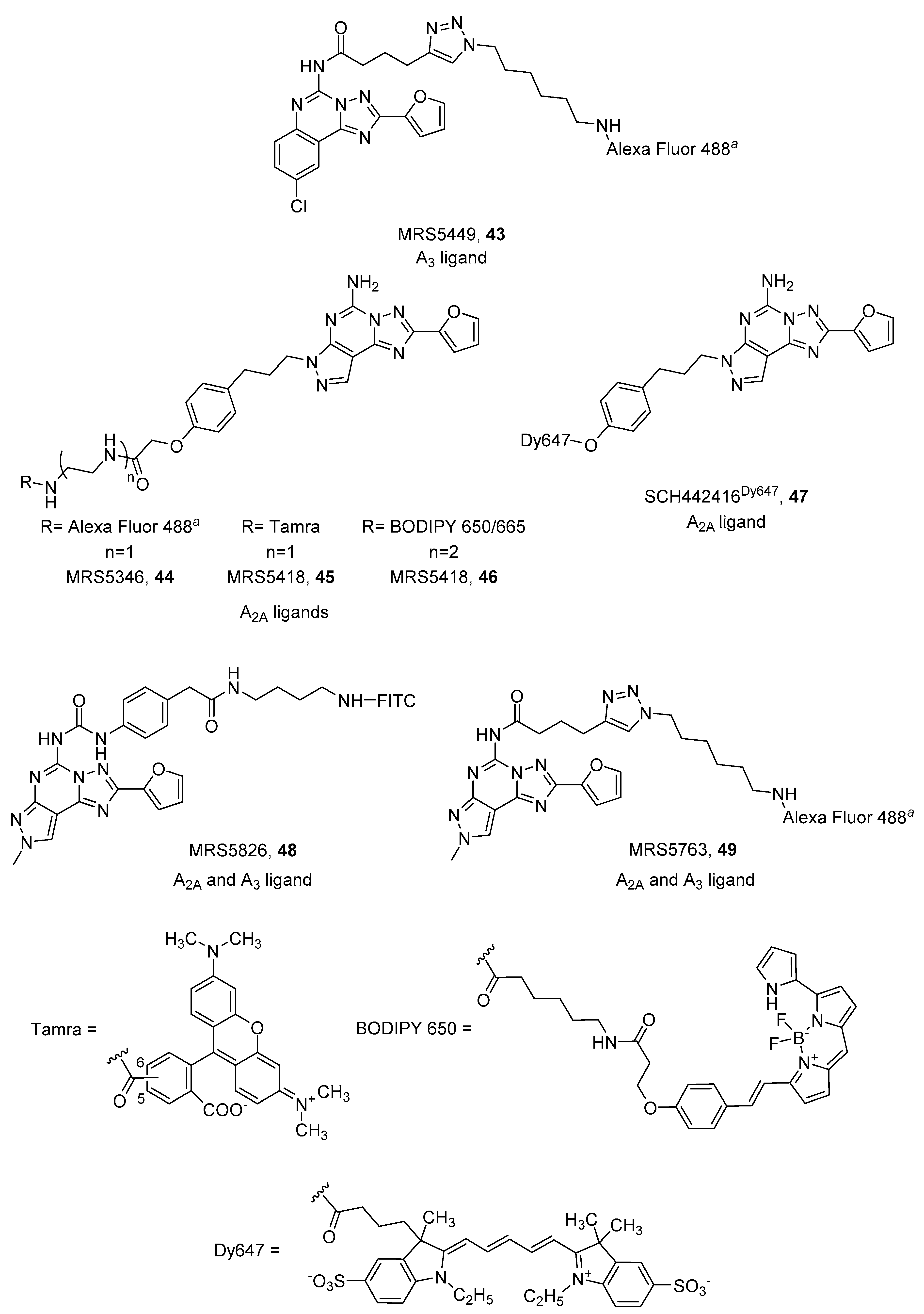 Pharmaceuticals 12 00168 g013