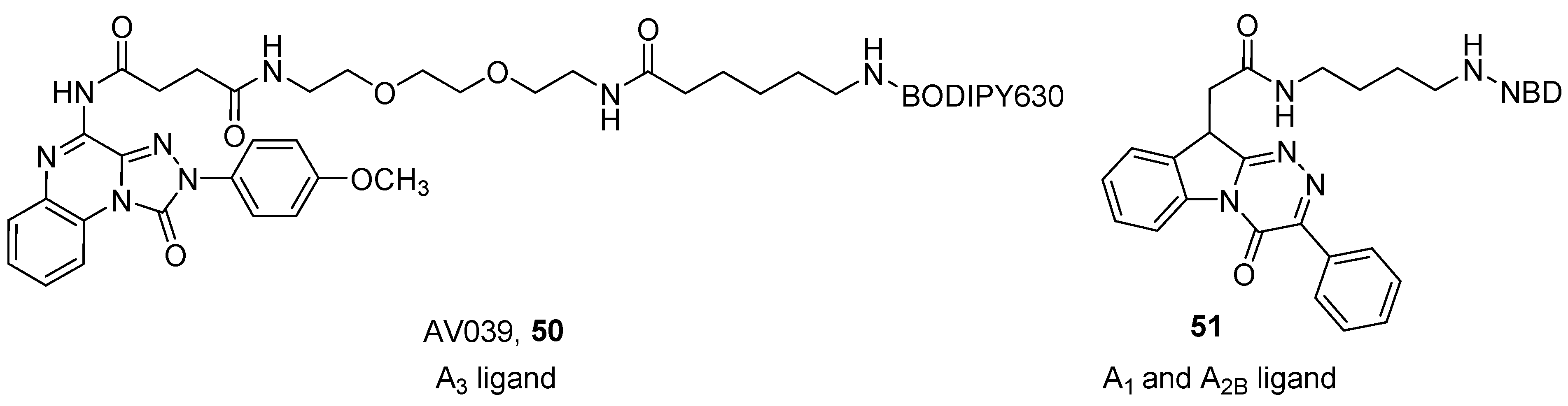 Pharmaceuticals 12 00168 g014