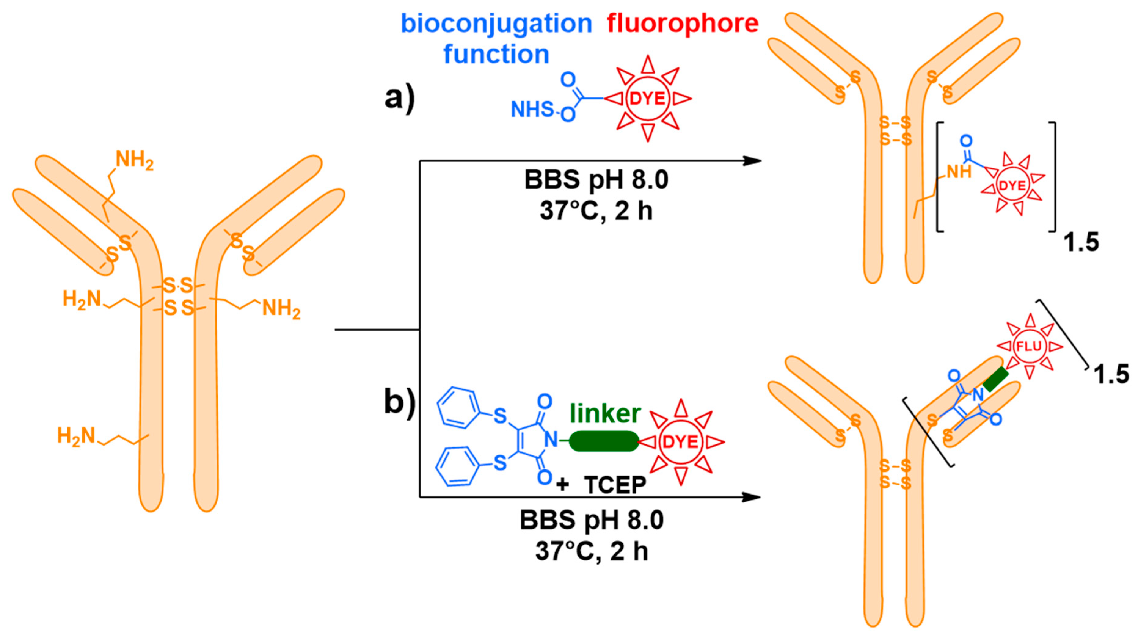 Pharmaceuticals 12 00176 sch002
