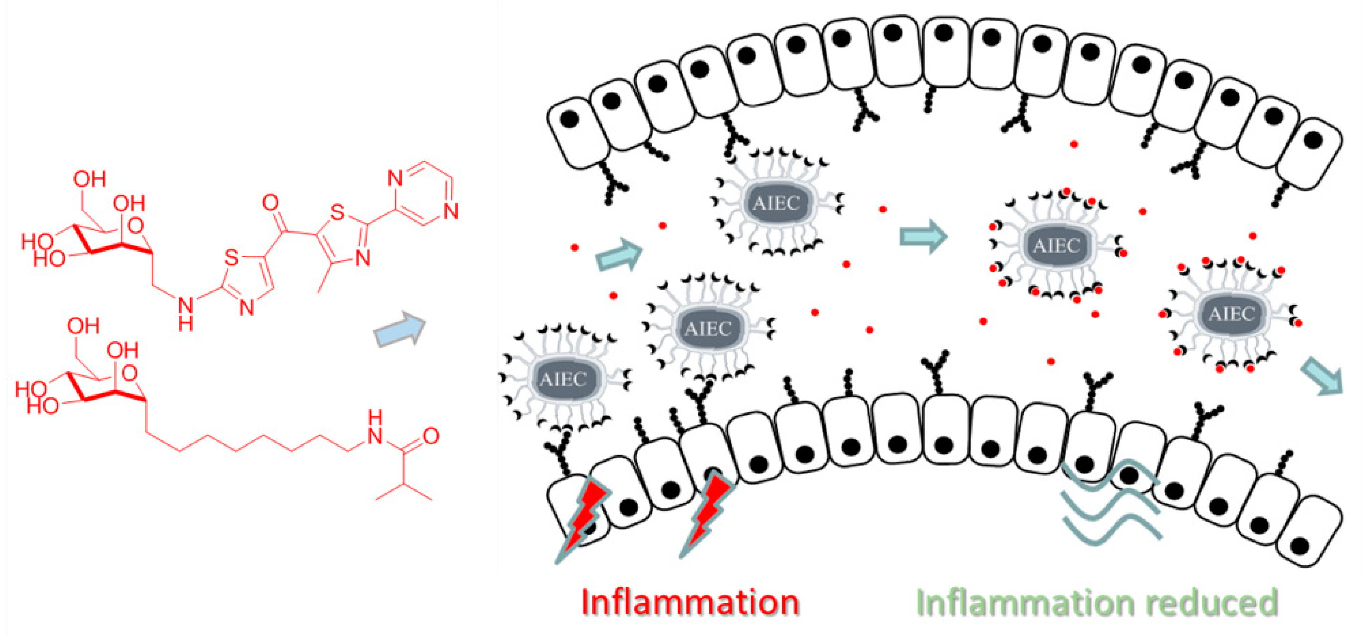 Pharmaceuticals 12 00179 g001 550