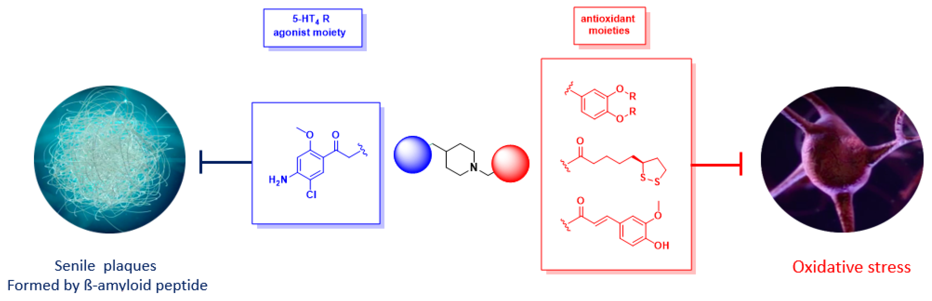 Pharmaceuticals 12 00179 g004 550