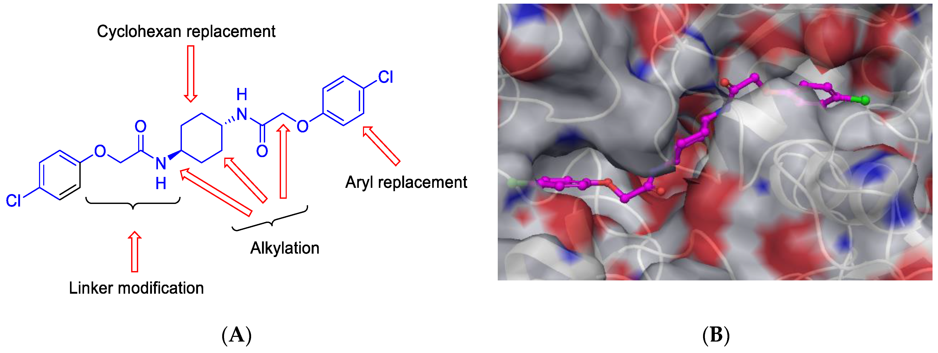 Pharmaceuticals 12 00179 g005 550