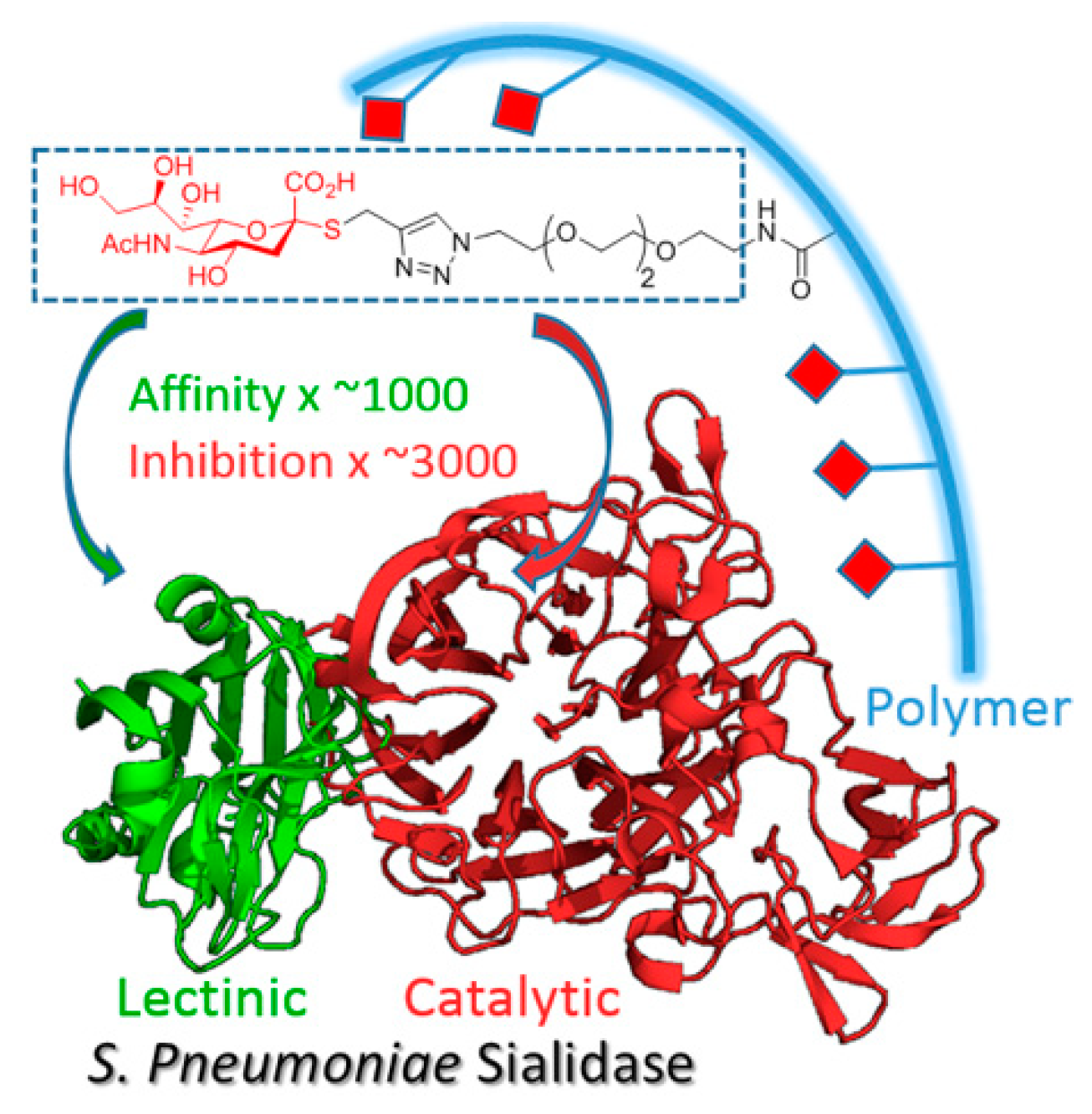 Pharmaceuticals 12 00179 g009 550