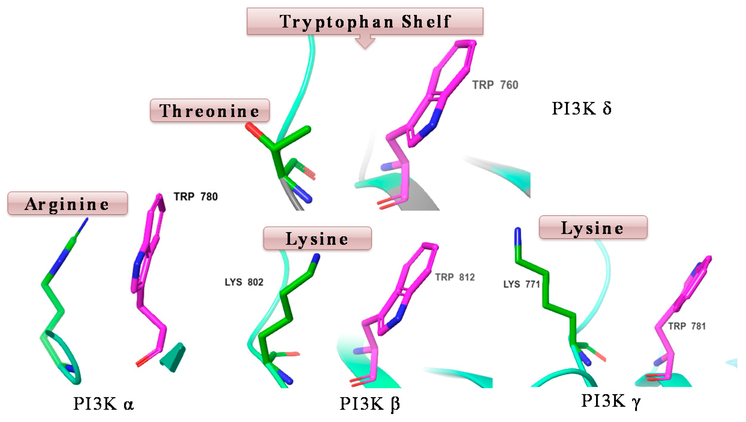 Pharmaceuticals 12 00179 g010 550
