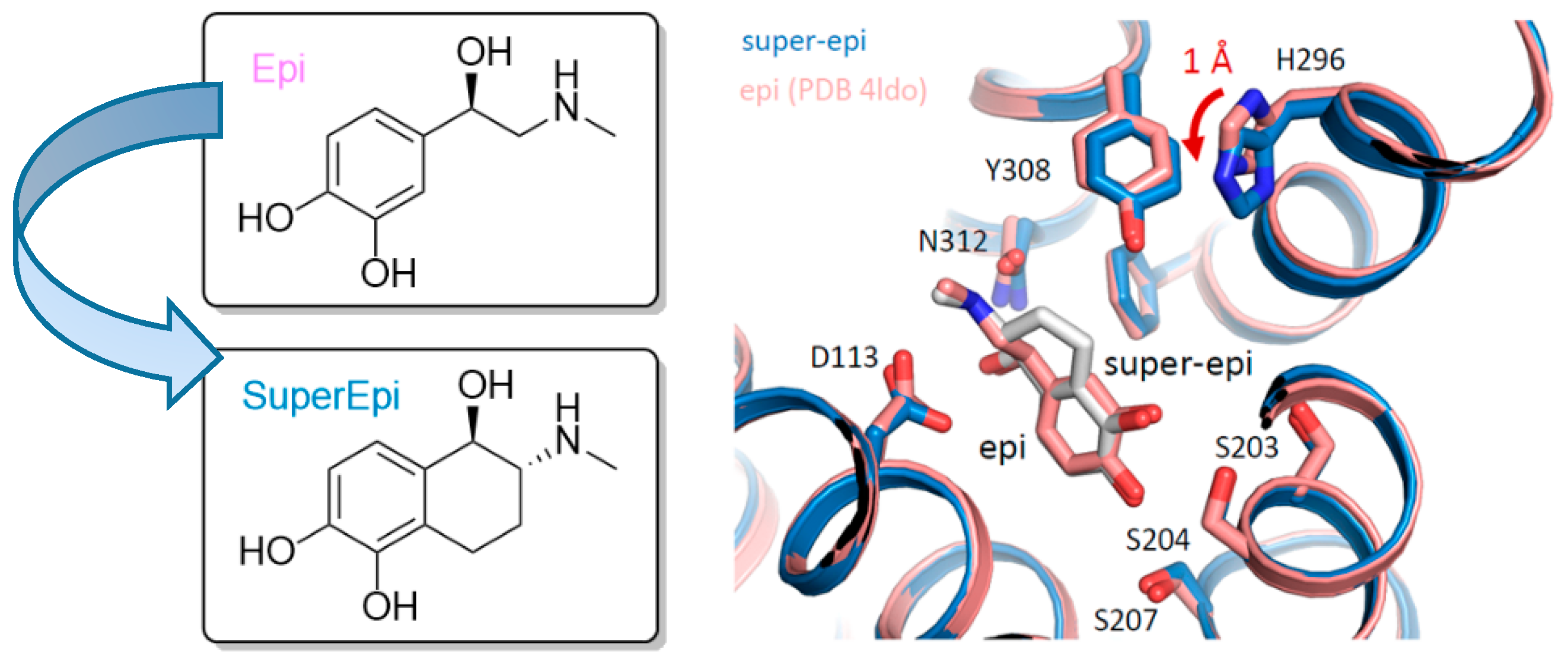 Pharmaceuticals 12 00179 g017 550