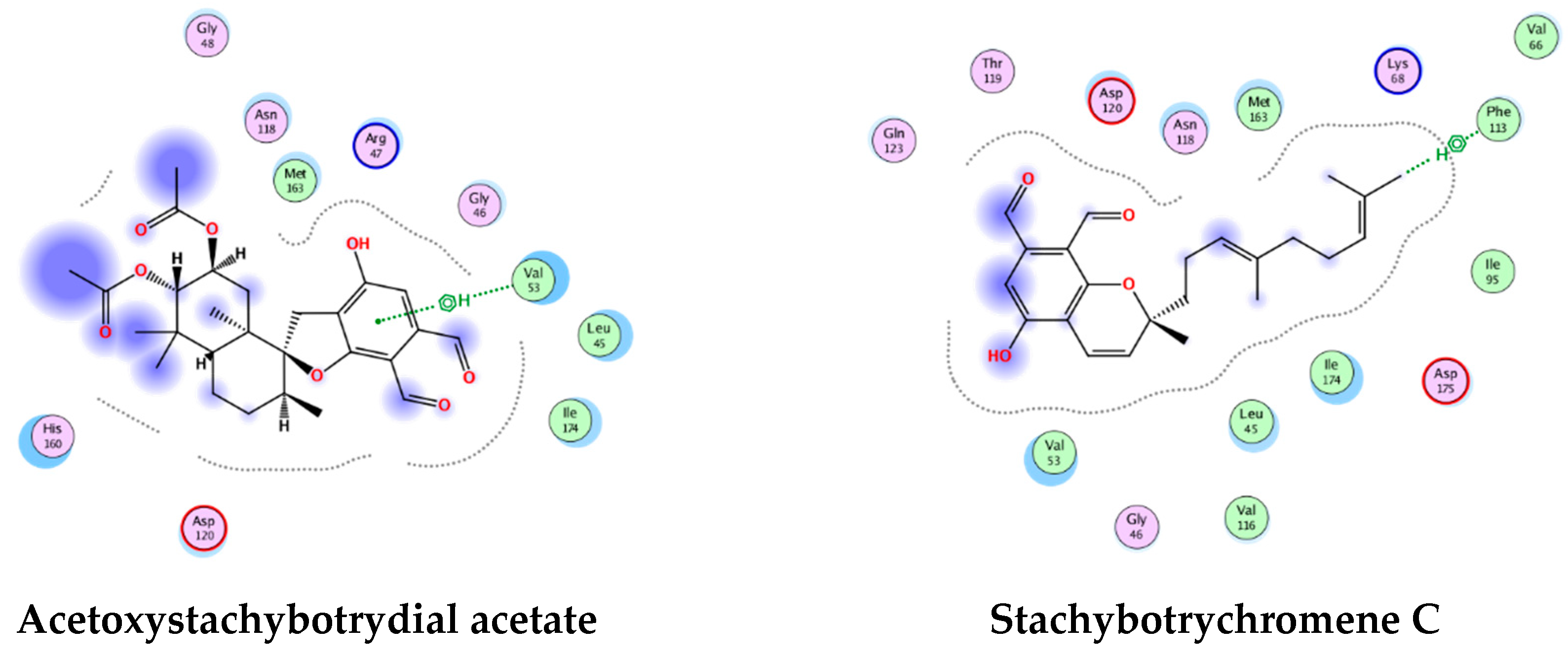 Pharmaceuticals 12 00179 g023 550