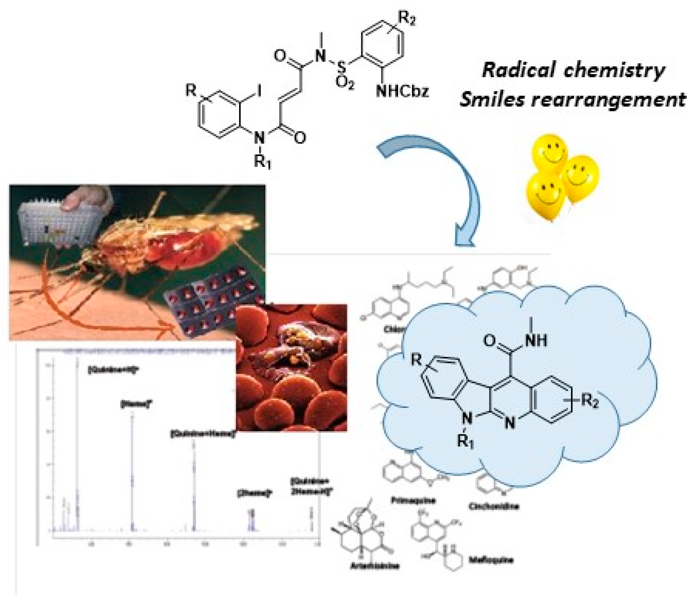 Pharmaceuticals 12 00179 g024 550