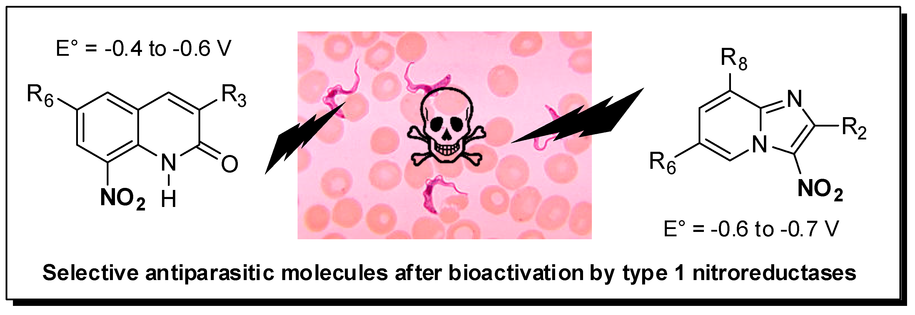 Pharmaceuticals 12 00179 i002