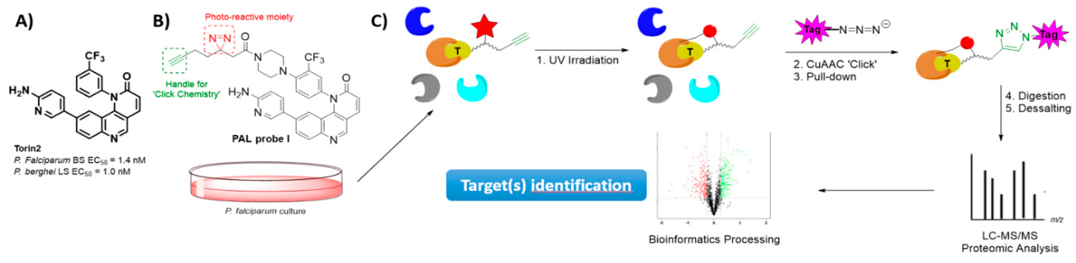 Pharmaceuticals 12 00179 sch001 550