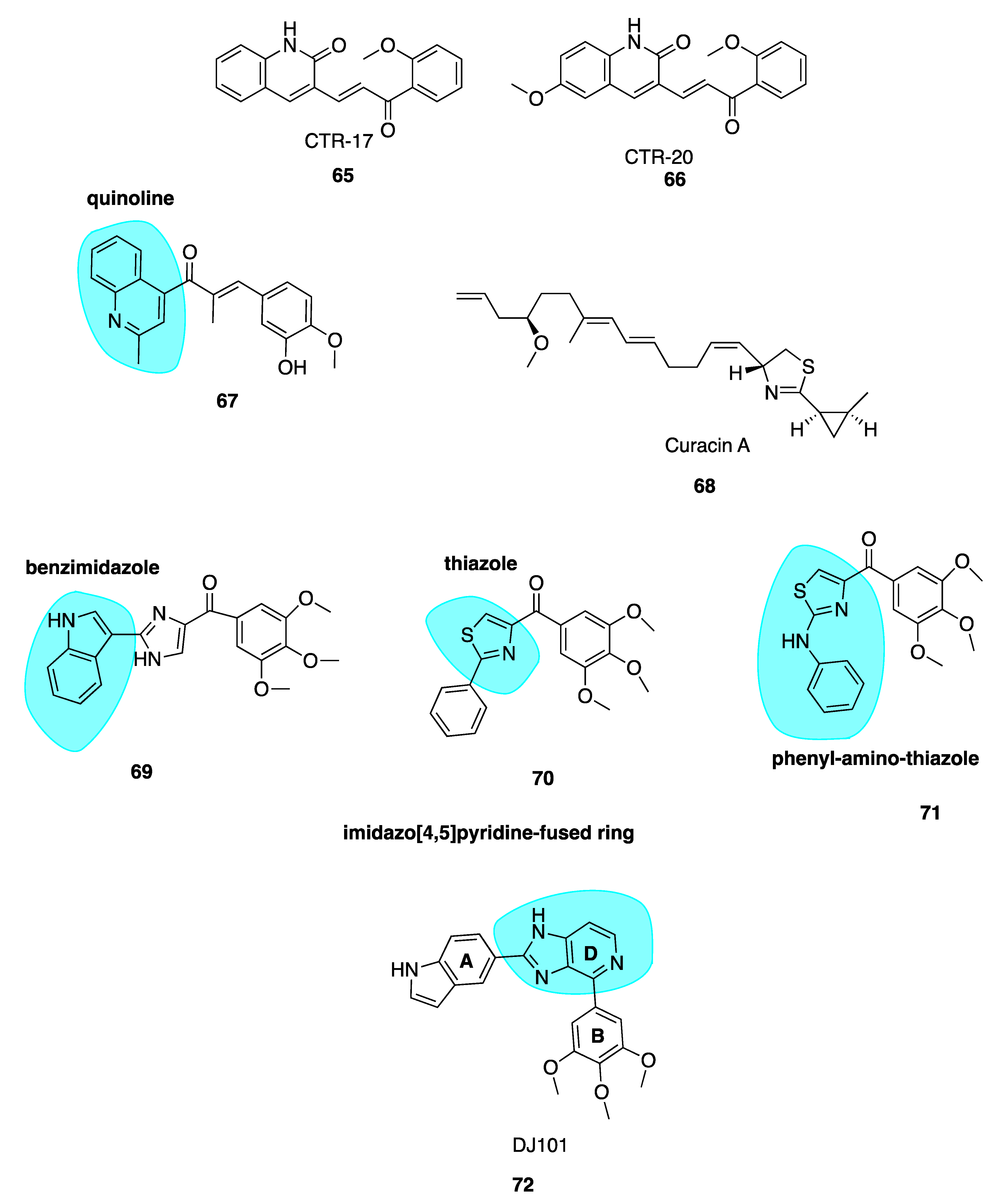 Синтез белков тубулинов