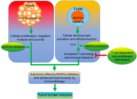 Mitogen-Activated Protein Kinase Inhibitors and T-Cell Mitogen-Activated Protein Kinase Inhibitors and T-Cell