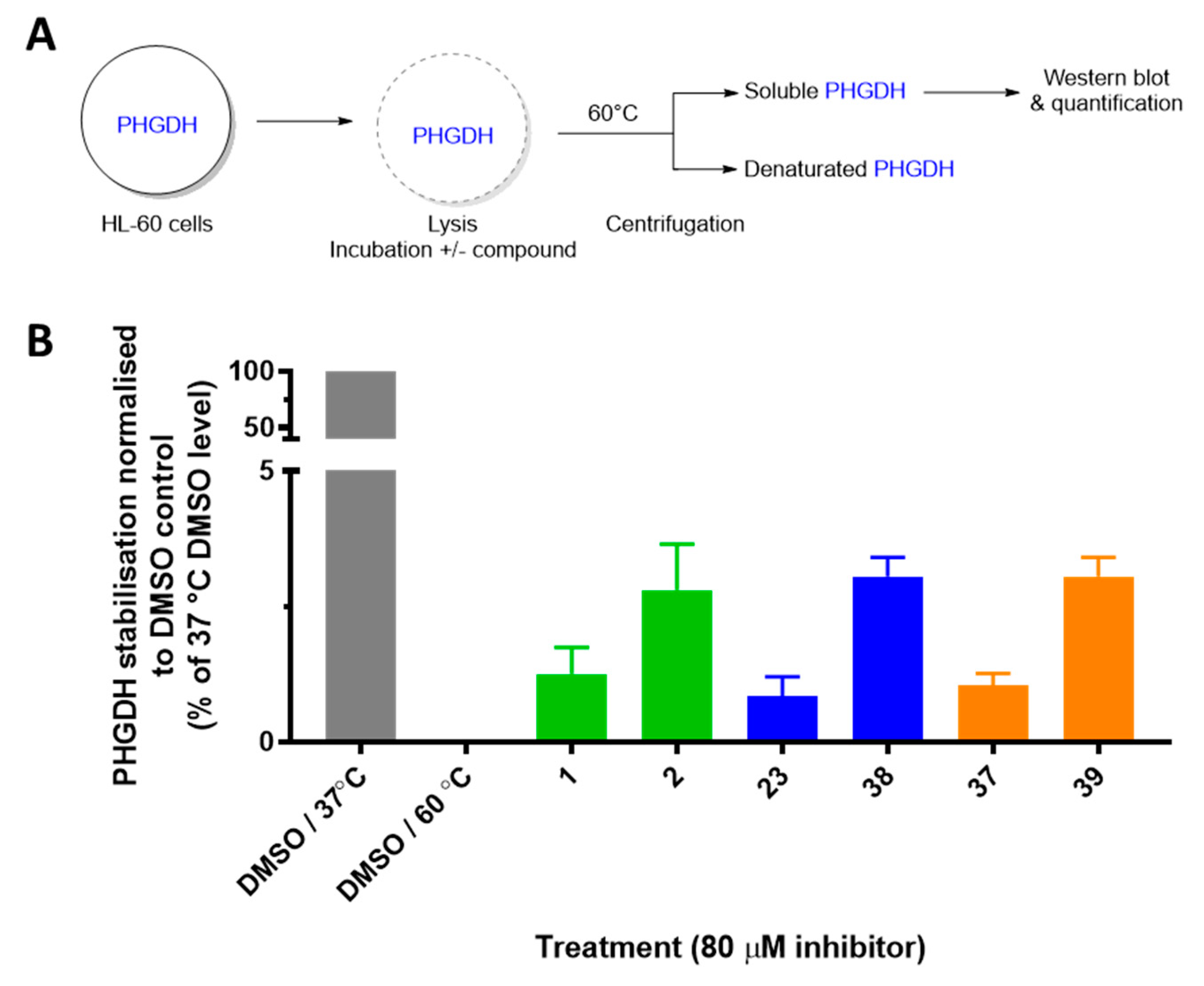 Pharmaceuticals 13 00020 g004