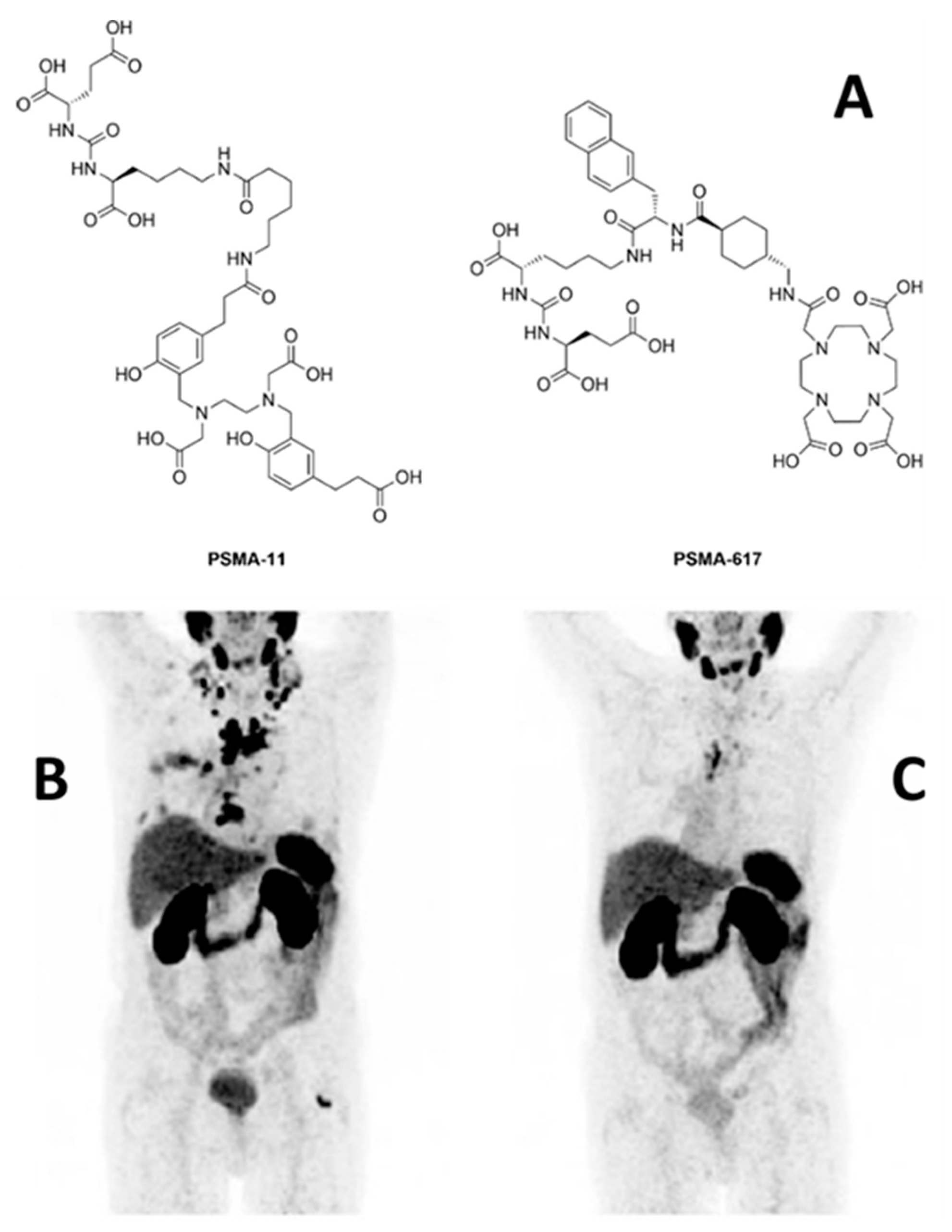 Pharmaceuticals 13 00022 g002 Pharmaceuticals 13 00022 g002